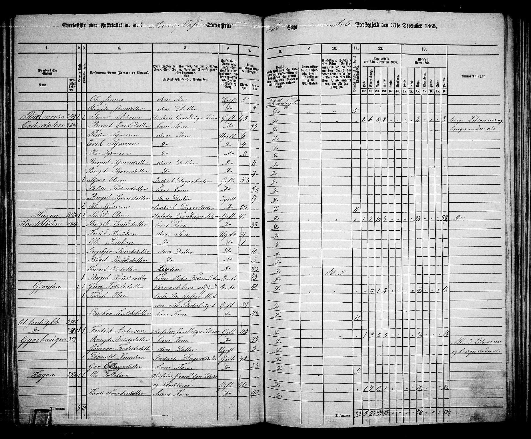 RA, 1865 census for Ål, 1865, p. 175