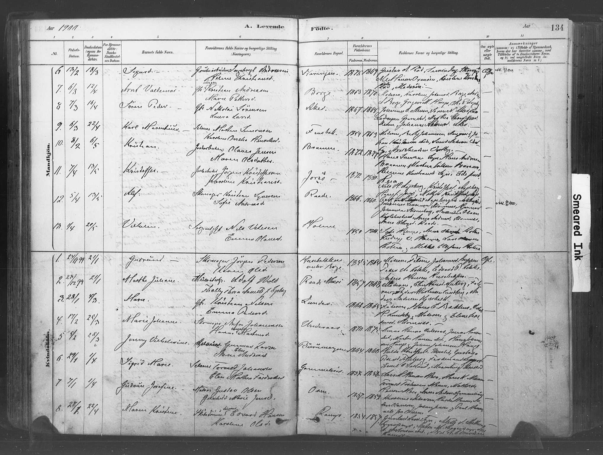 Råde prestekontor kirkebøker, SAO/A-2009/F/Fa/L0007: Parish register (official) no. 7, 1878-1902, p. 134