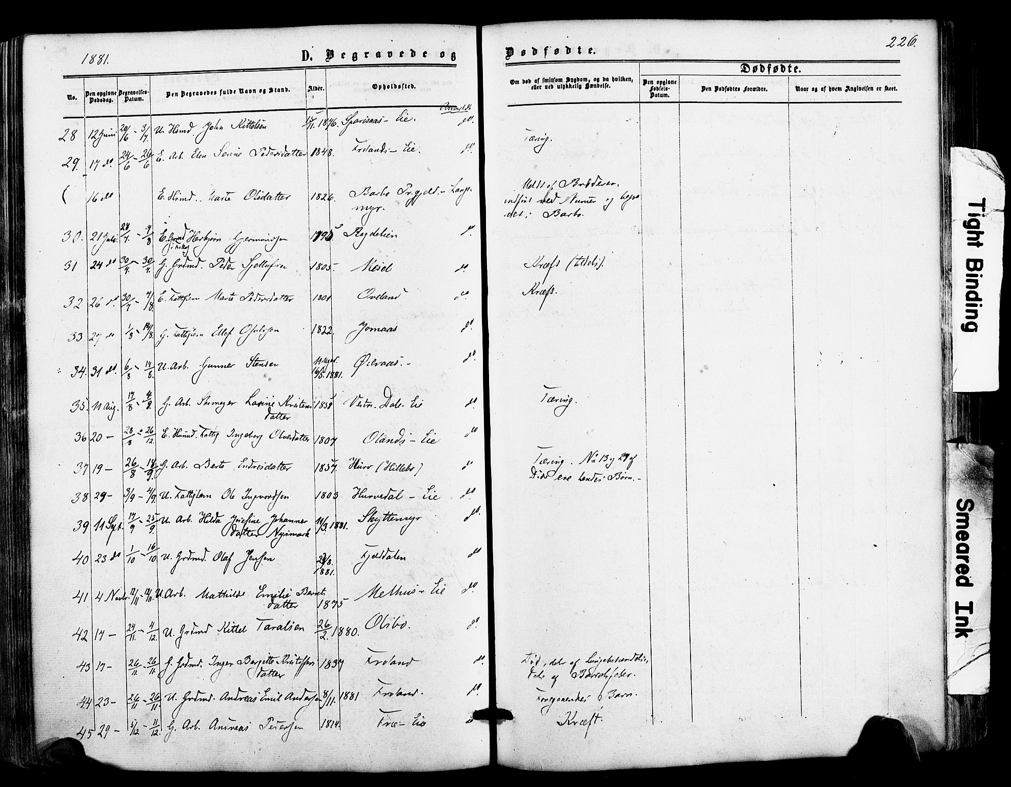 Froland sokneprestkontor, AV/SAK-1111-0013/F/Fa/L0003: Parish register (official) no. A 3, 1864-1881, p. 226