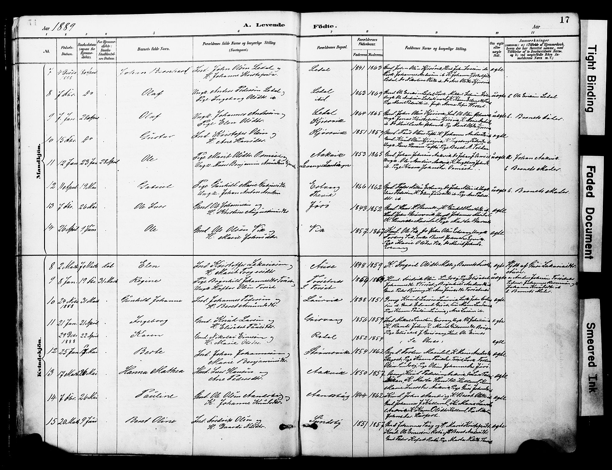 Ministerialprotokoller, klokkerbøker og fødselsregistre - Møre og Romsdal, AV/SAT-A-1454/578/L0907: Parish register (official) no. 578A06, 1887-1904, p. 17