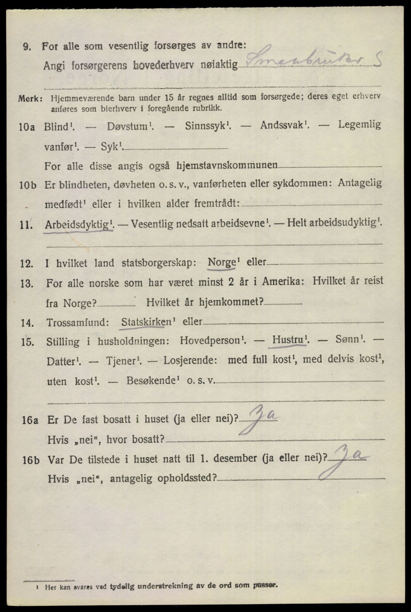 SAKO, 1920 census for Hol (Buskerud), 1920, p. 2796