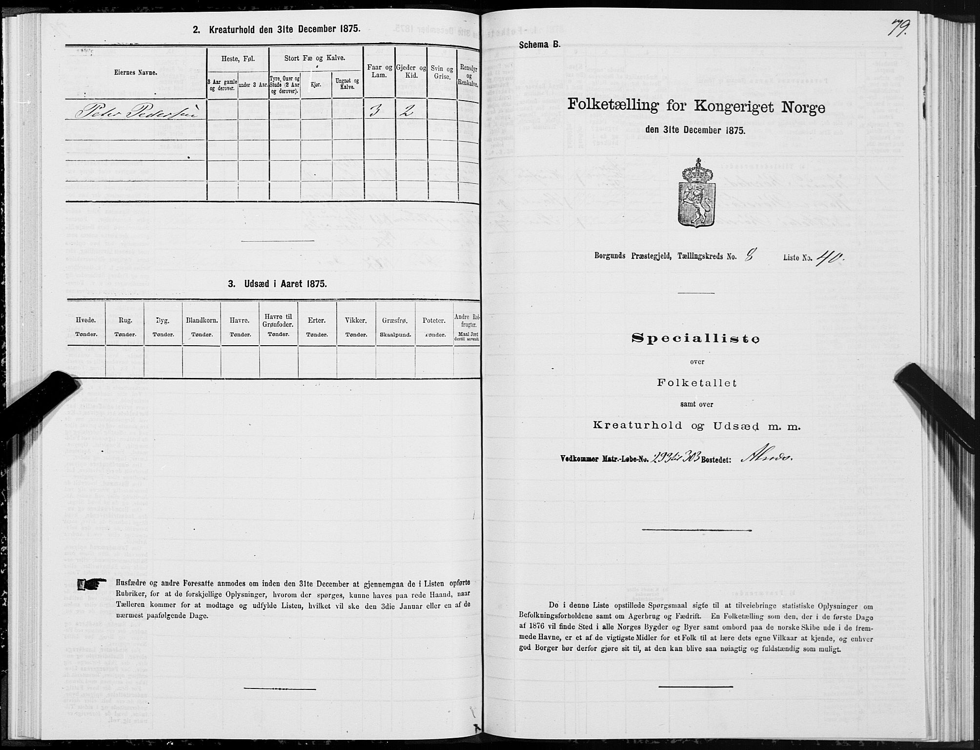 SAT, 1875 census for 1531P Borgund, 1875, p. 5079