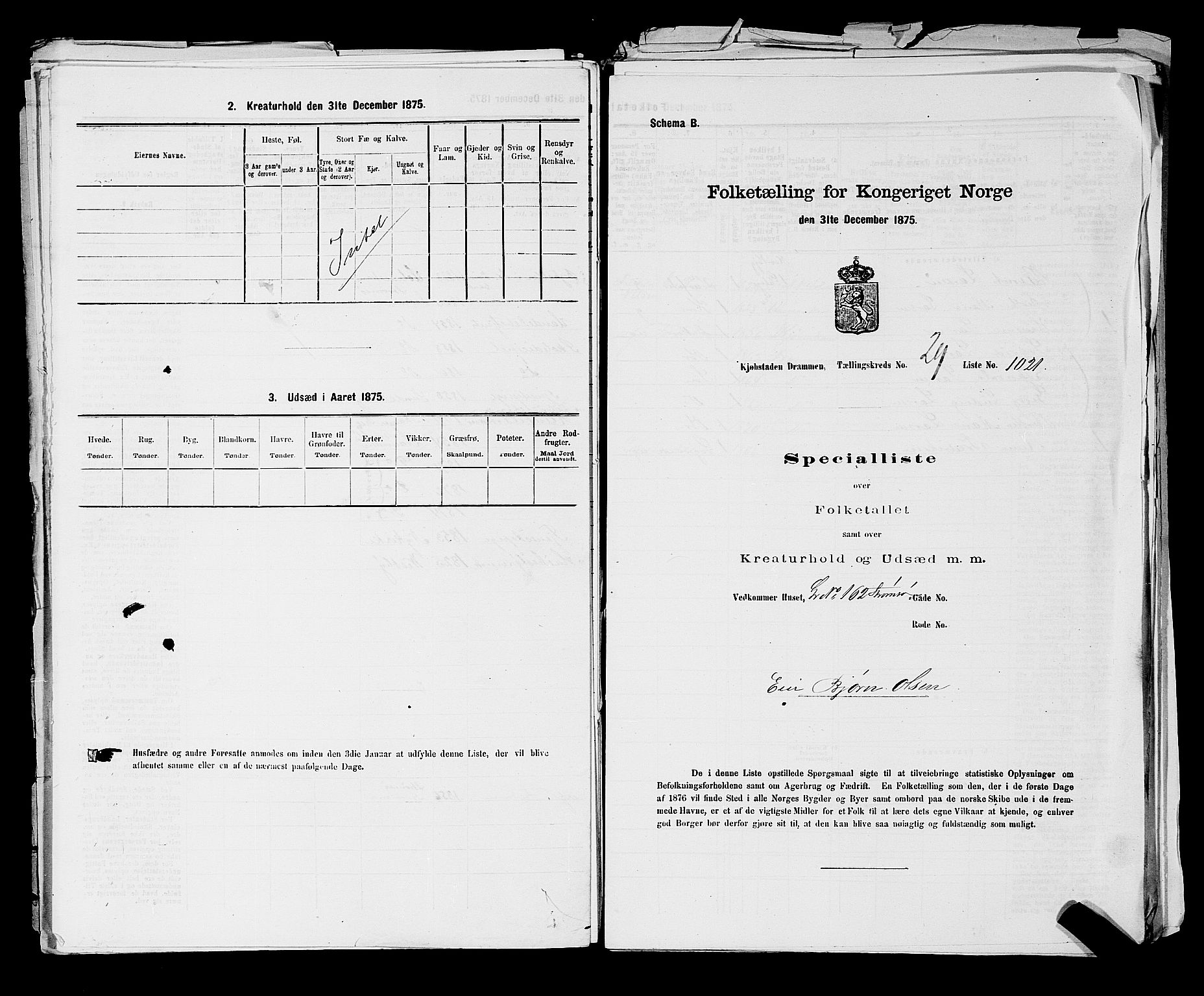 SAKO, 1875 census for 0602 Drammen, 1875, p. 2747