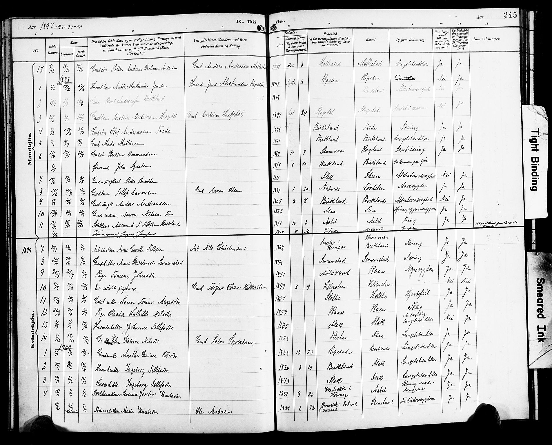 Birkenes sokneprestkontor, SAK/1111-0004/F/Fb/L0004: Parish register (copy) no. B 4, 1893-1930, p. 245