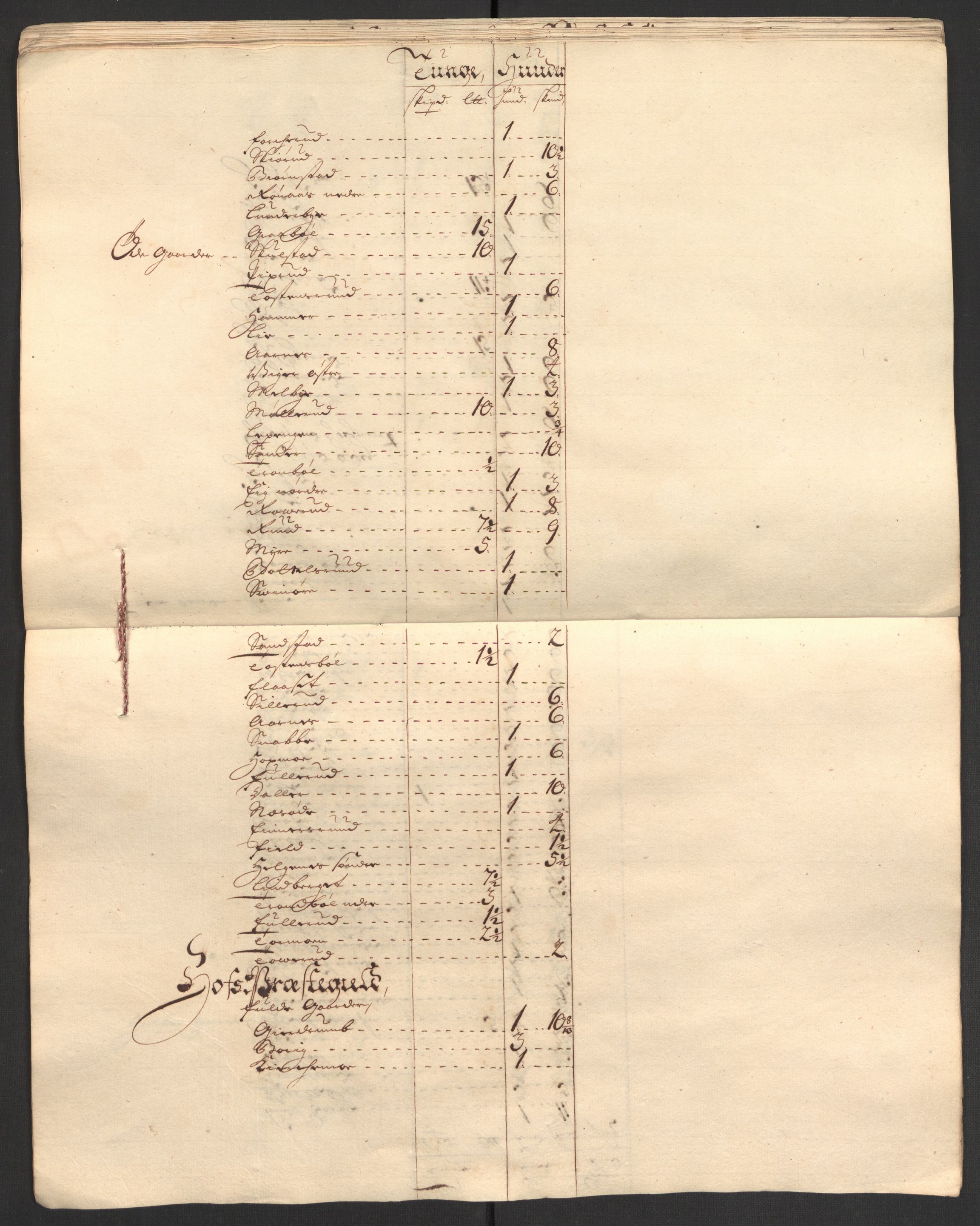 Rentekammeret inntil 1814, Reviderte regnskaper, Fogderegnskap, AV/RA-EA-4092/R13/L0844: Fogderegnskap Solør, Odal og Østerdal, 1707, p. 220