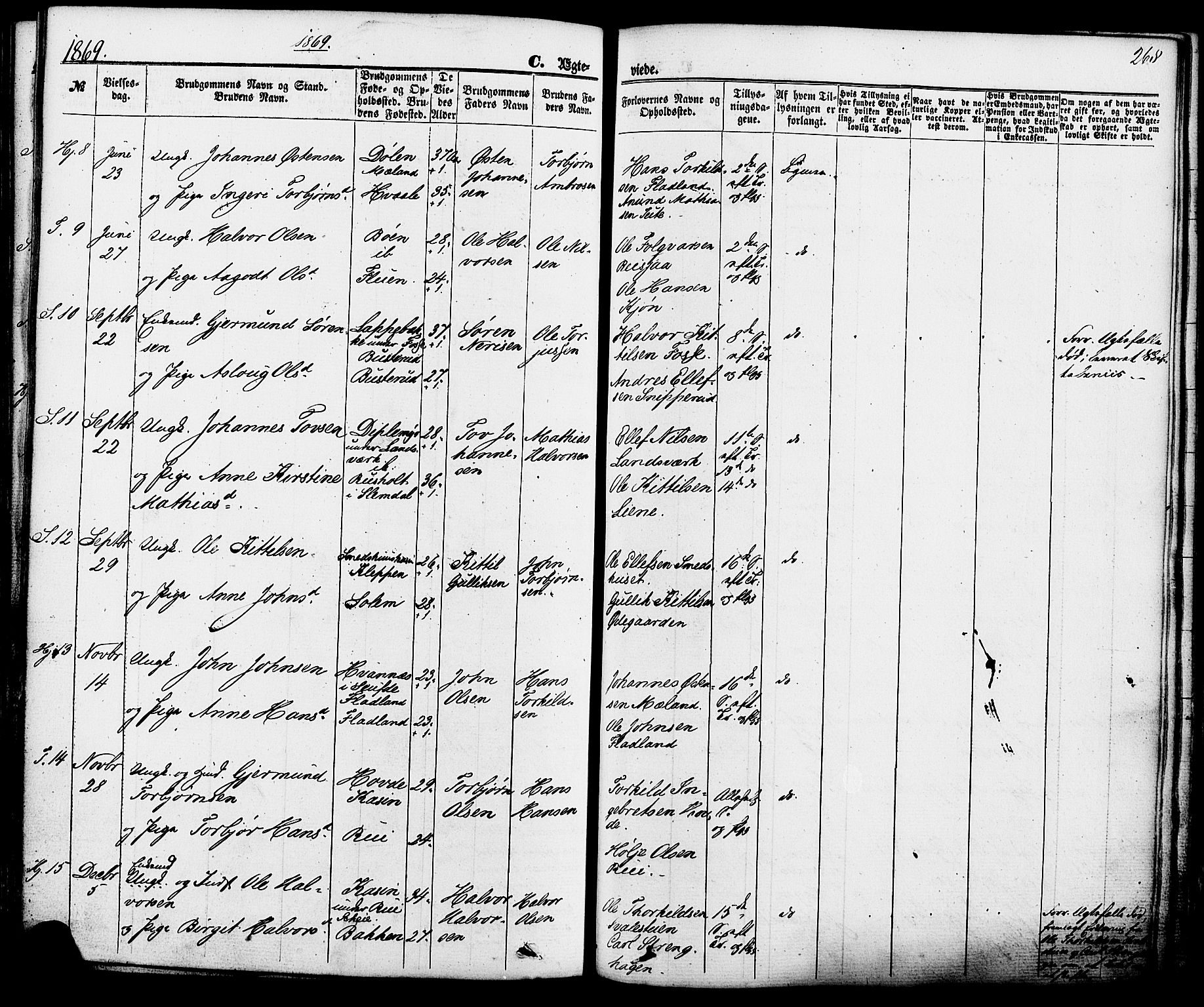 Hjartdal kirkebøker, SAKO/A-270/F/Fa/L0009: Parish register (official) no. I 9, 1860-1879, p. 268