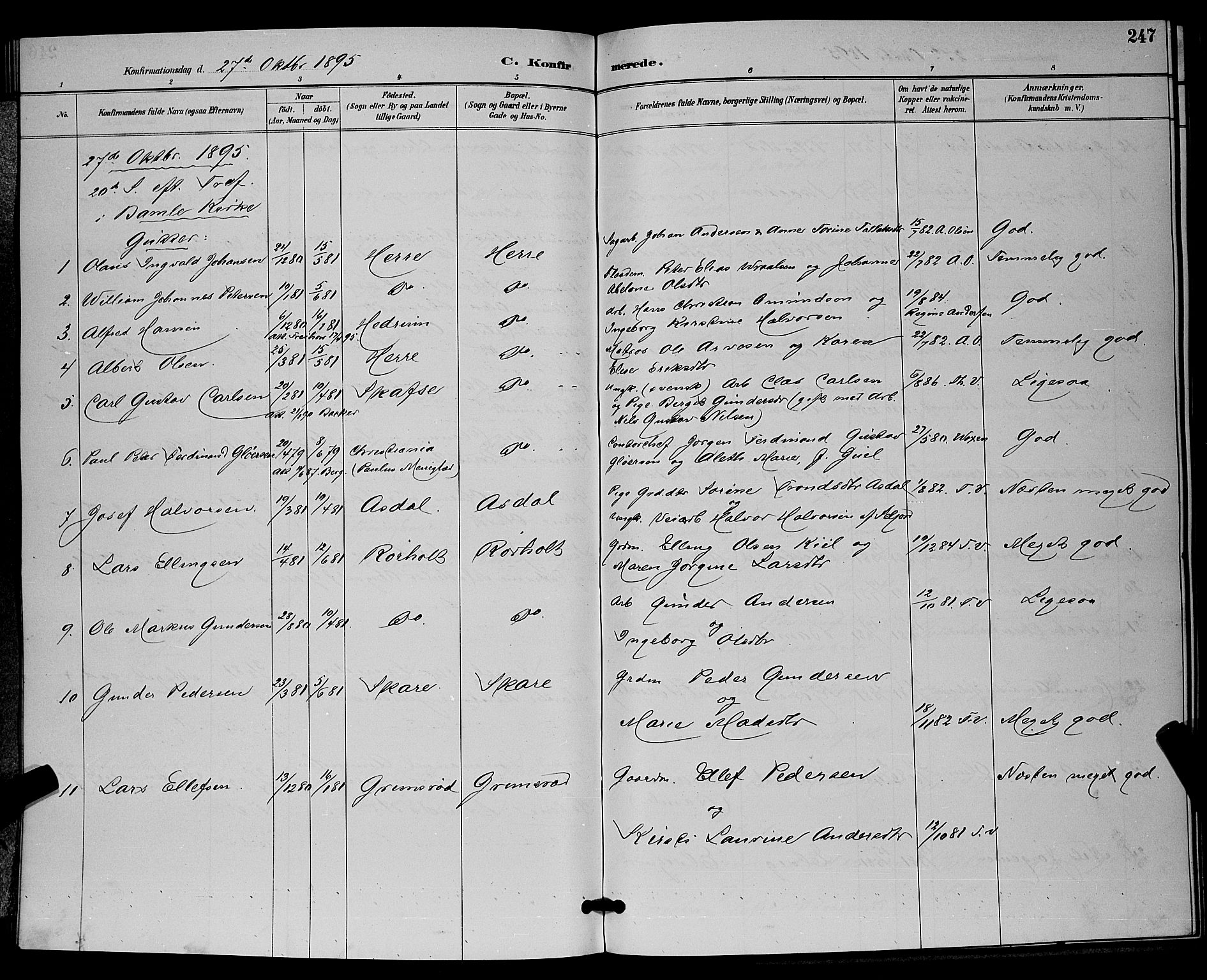 Bamble kirkebøker, AV/SAKO-A-253/G/Ga/L0009: Parish register (copy) no. I 9, 1888-1900, p. 247