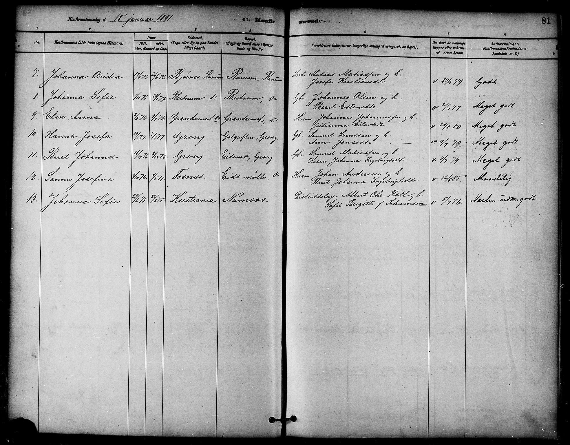 Ministerialprotokoller, klokkerbøker og fødselsregistre - Nord-Trøndelag, AV/SAT-A-1458/764/L0555: Parish register (official) no. 764A10, 1881-1896, p. 81