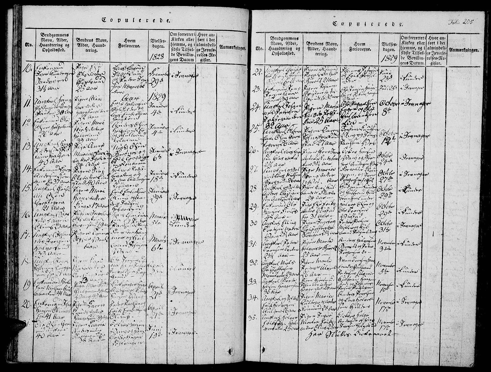 Jevnaker prestekontor, SAH/PREST-116/H/Ha/Hab/L0001: Parish register (copy) no. 1, 1815-1837, p. 205