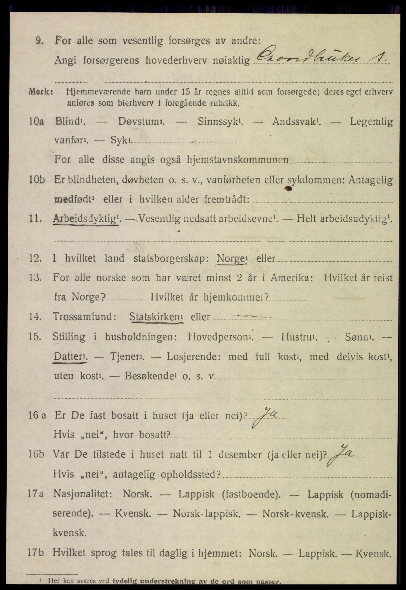 SAT, 1920 census for Snåsa, 1920, p. 2943