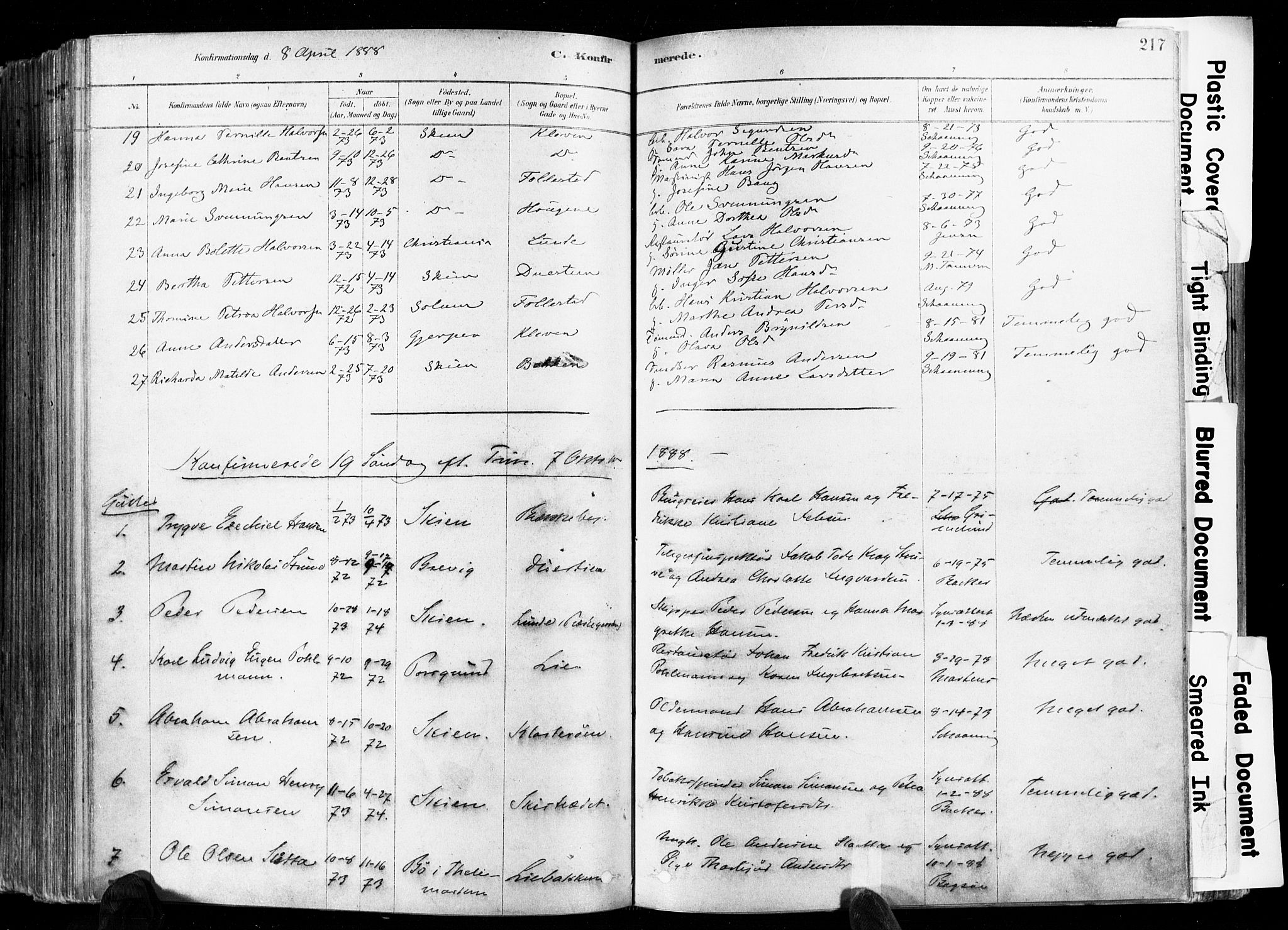 Skien kirkebøker, SAKO/A-302/F/Fa/L0009: Parish register (official) no. 9, 1878-1890, p. 217