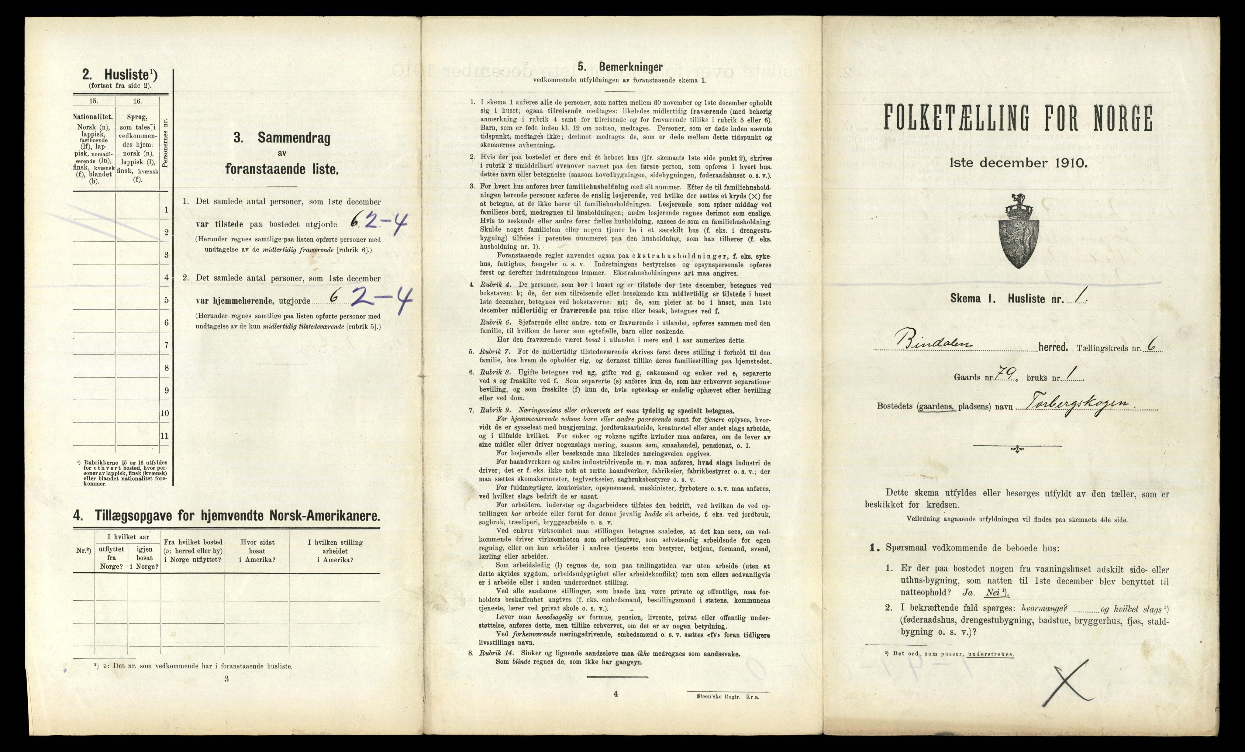RA, 1910 census for Bindal, 1910, p. 550