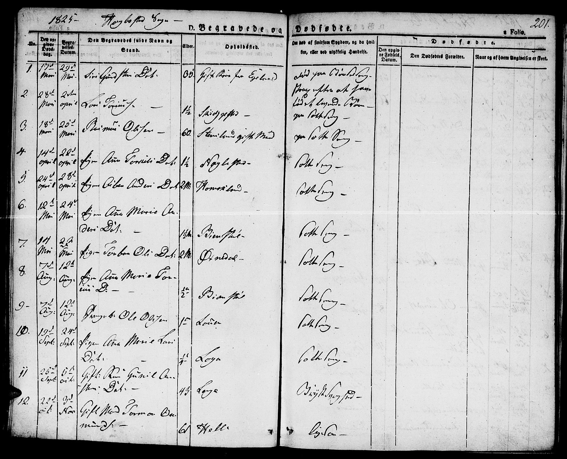 Hægebostad sokneprestkontor, SAK/1111-0024/F/Fa/Faa/L0003: Parish register (official) no. A 3 /1, 1825-1834, p. 201