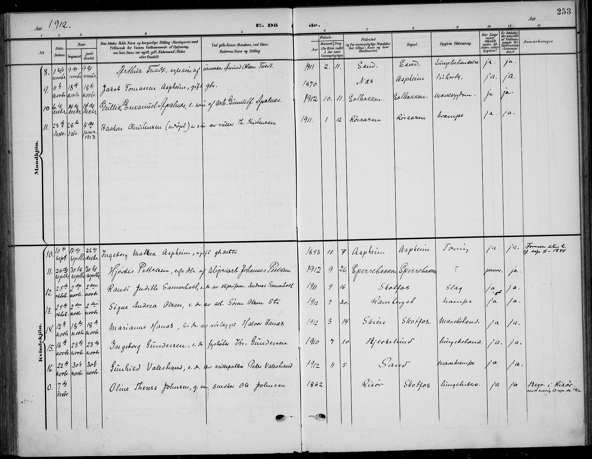 Solum kirkebøker, SAKO/A-306/F/Fb/L0003: Parish register (official) no. II 3, 1901-1912, p. 253