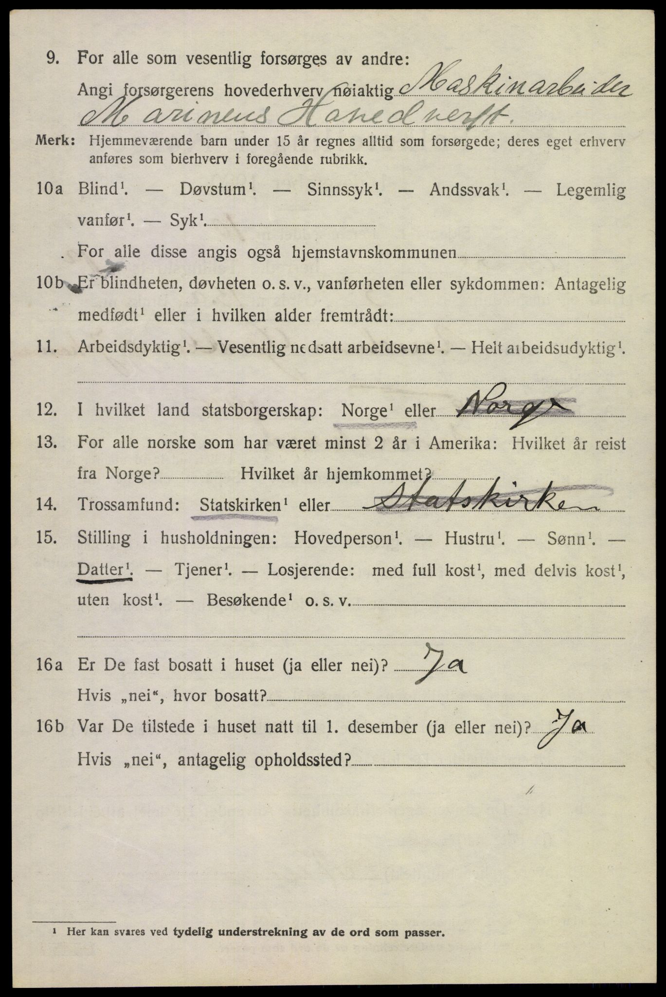 SAKO, 1920 census for Borre, 1920, p. 1427