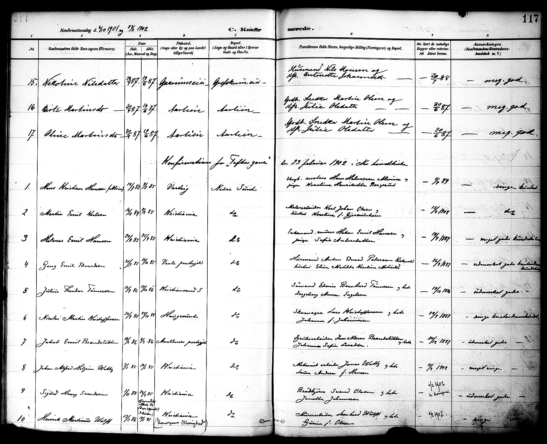 Nes prestekontor, Hedmark, AV/SAH-PREST-020/K/Ka/L0010: Parish register (official) no. 10, 1887-1905, p. 117