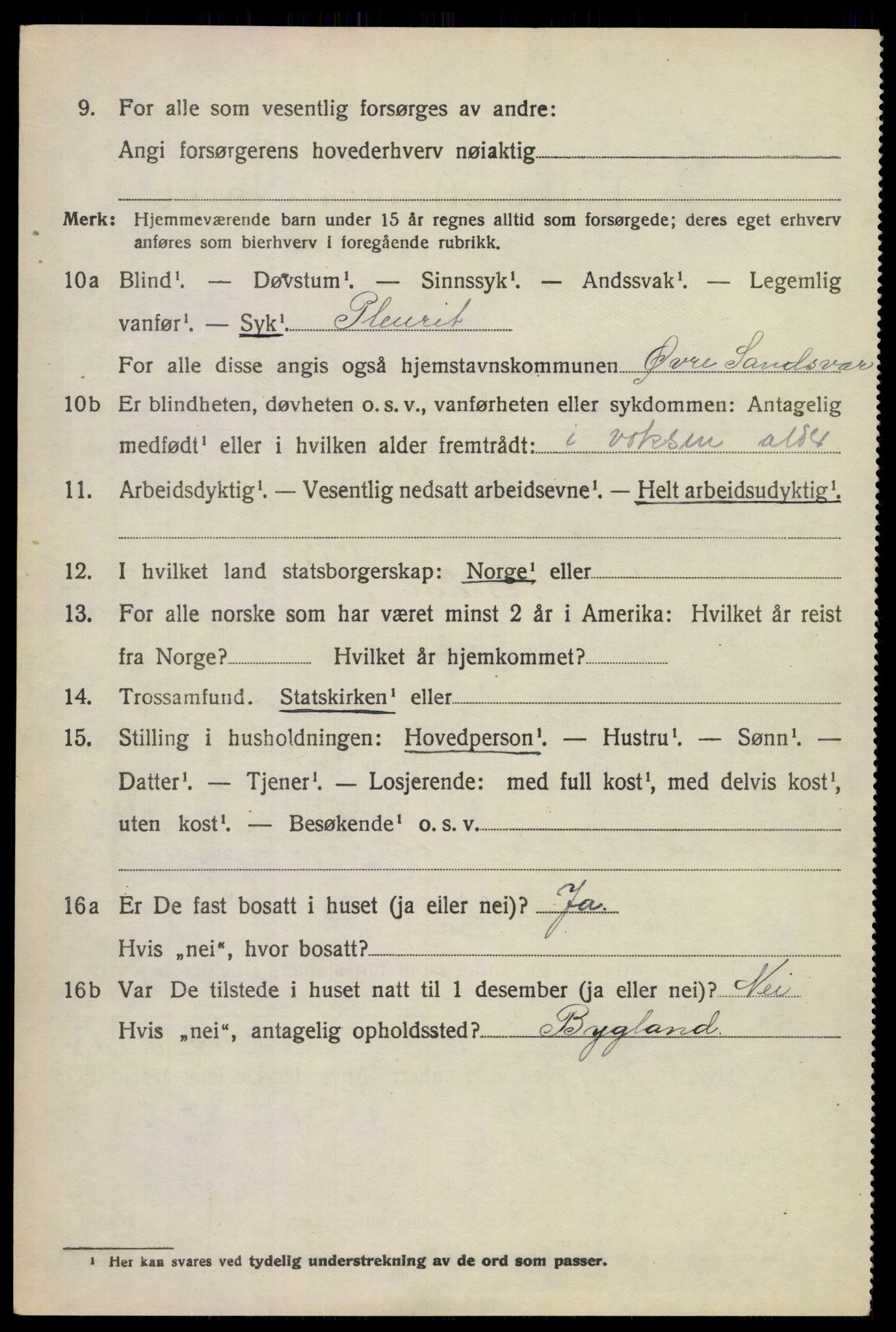 SAKO, 1920 census for Øvre Sandsvær, 1920, p. 3177