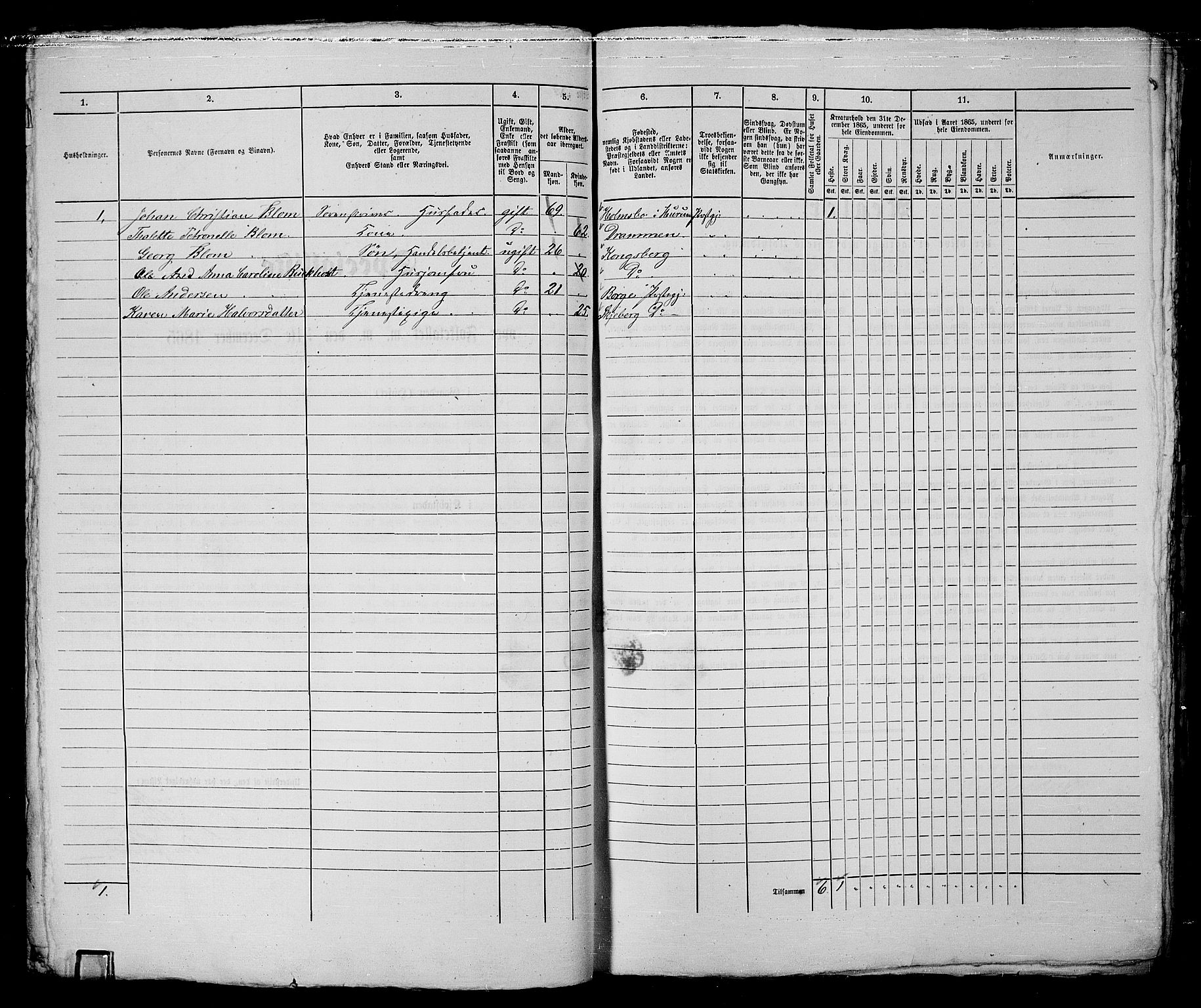 RA, 1865 census for Fredrikstad/Fredrikstad, 1865, p. 136