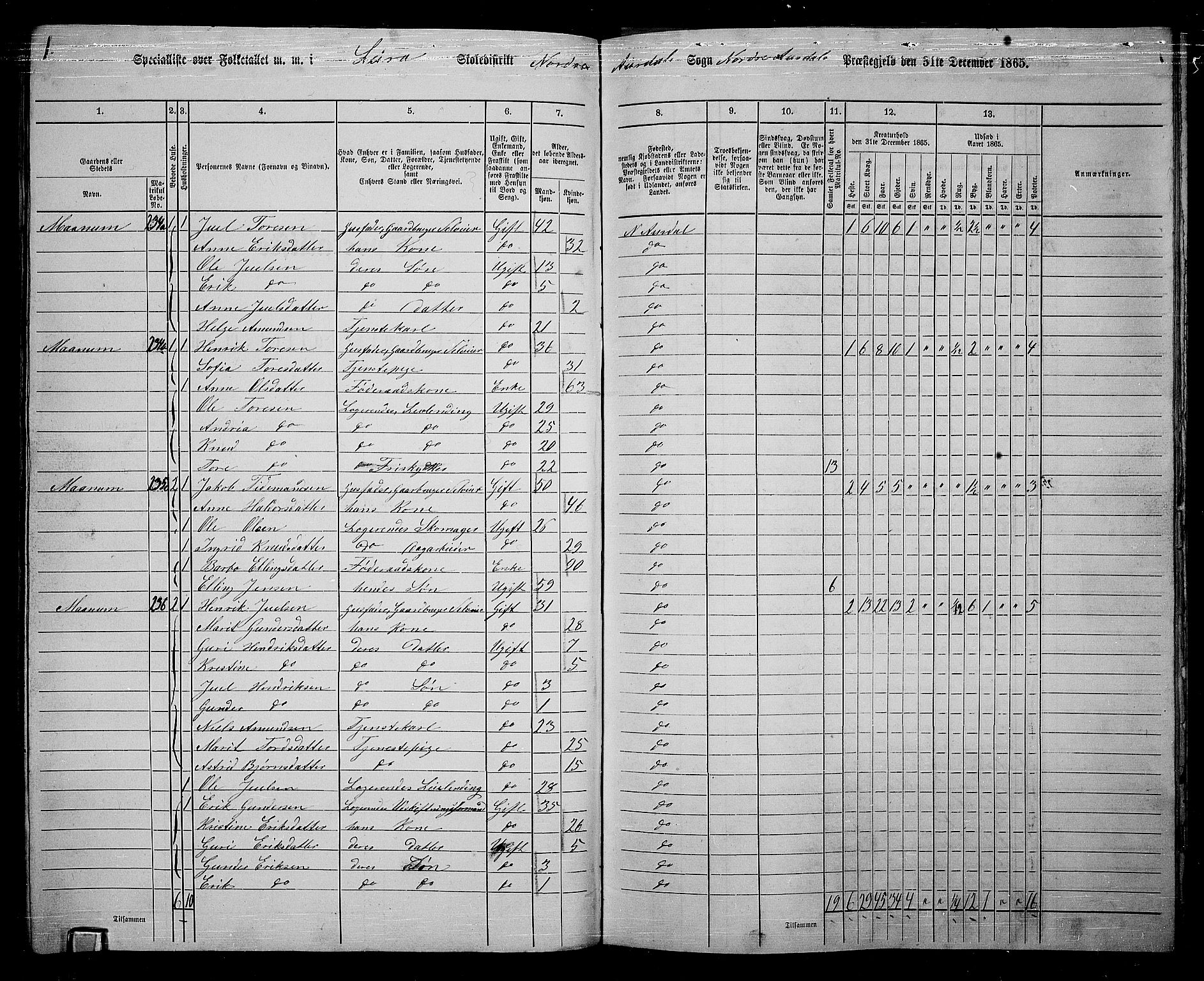 RA, 1865 census for Nord-Aurdal, 1865, p. 156