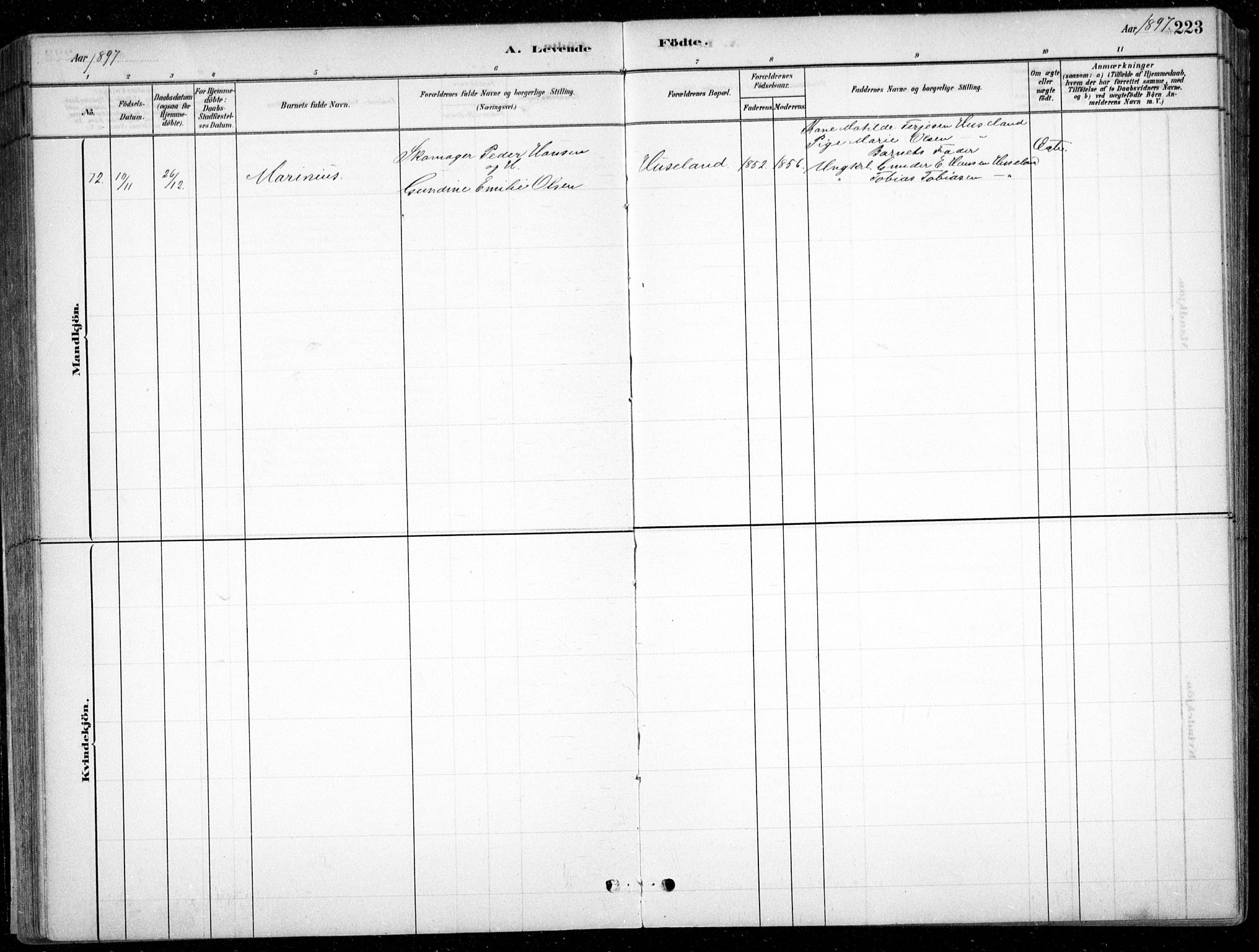 Fjære sokneprestkontor, AV/SAK-1111-0011/F/Fb/L0011: Parish register (copy) no. B 11, 1881-1905, p. 223