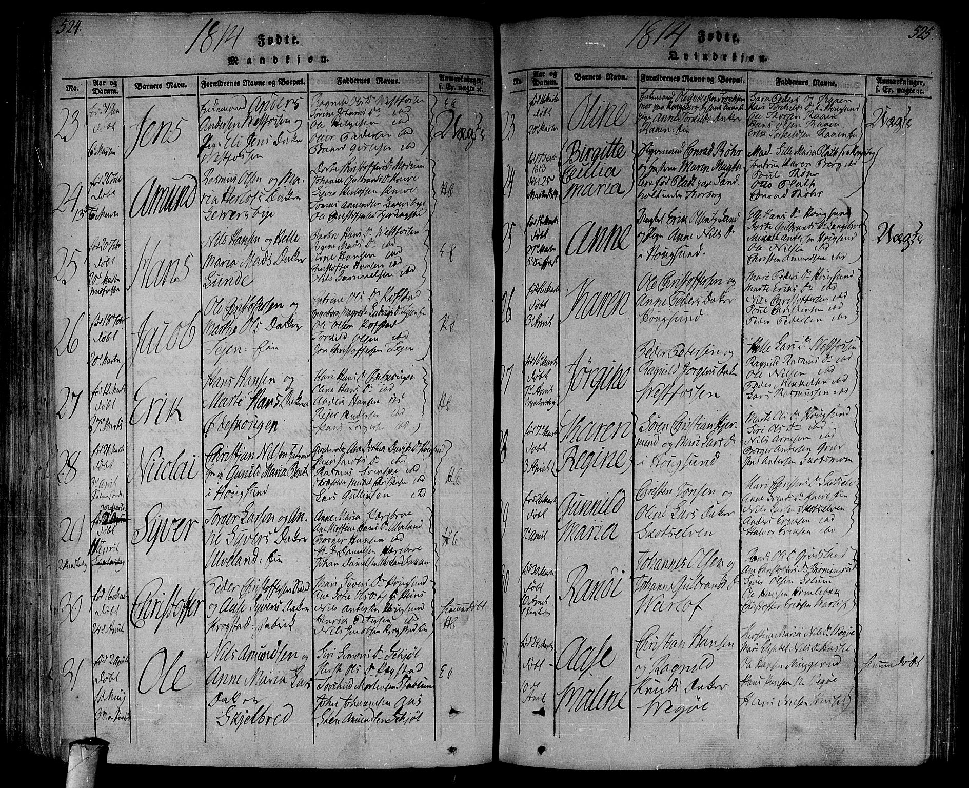 Eiker kirkebøker, AV/SAKO-A-4/F/Fa/L0010: Parish register (official) no. I 10, 1806-1815, p. 524-525