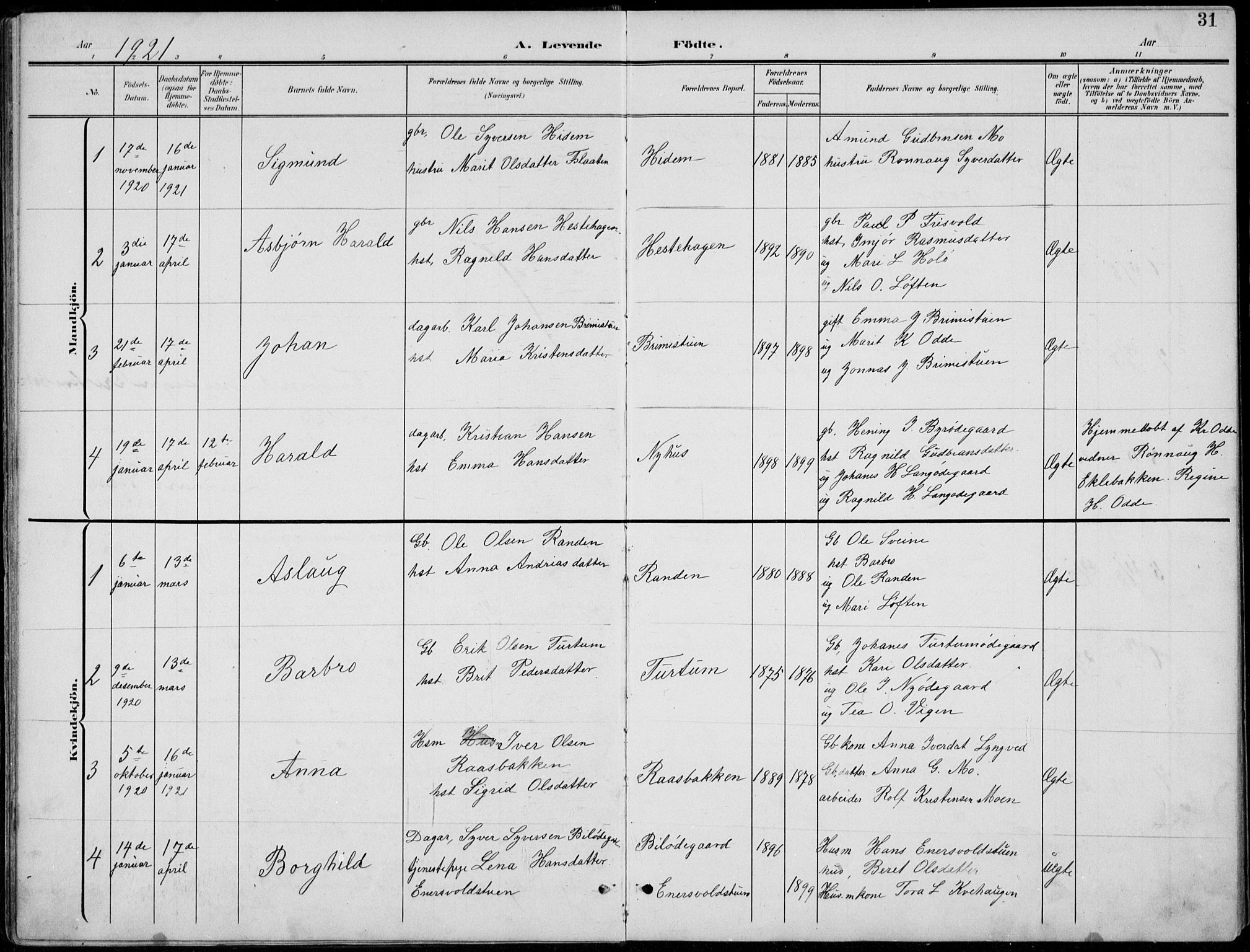 Lom prestekontor, AV/SAH-PREST-070/L/L0006: Parish register (copy) no. 6, 1901-1939, p. 31