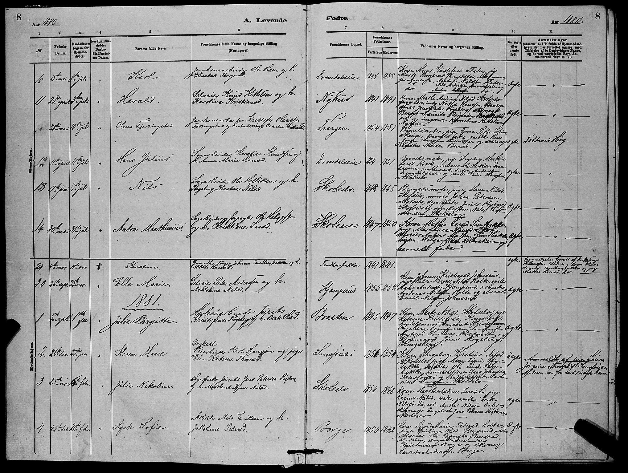 Eiker kirkebøker, AV/SAKO-A-4/G/Gb/L0003: Parish register (copy) no. II 3, 1880-1893, p. 8