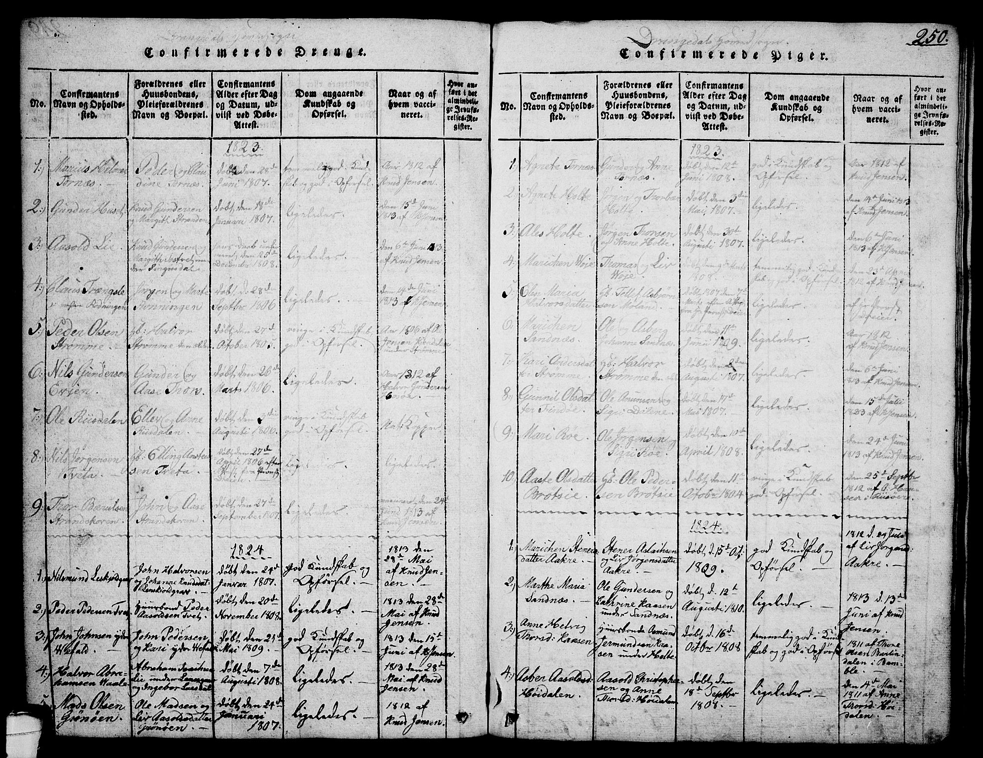 Drangedal kirkebøker, SAKO/A-258/G/Ga/L0001: Parish register (copy) no. I 1 /1, 1814-1856, p. 250