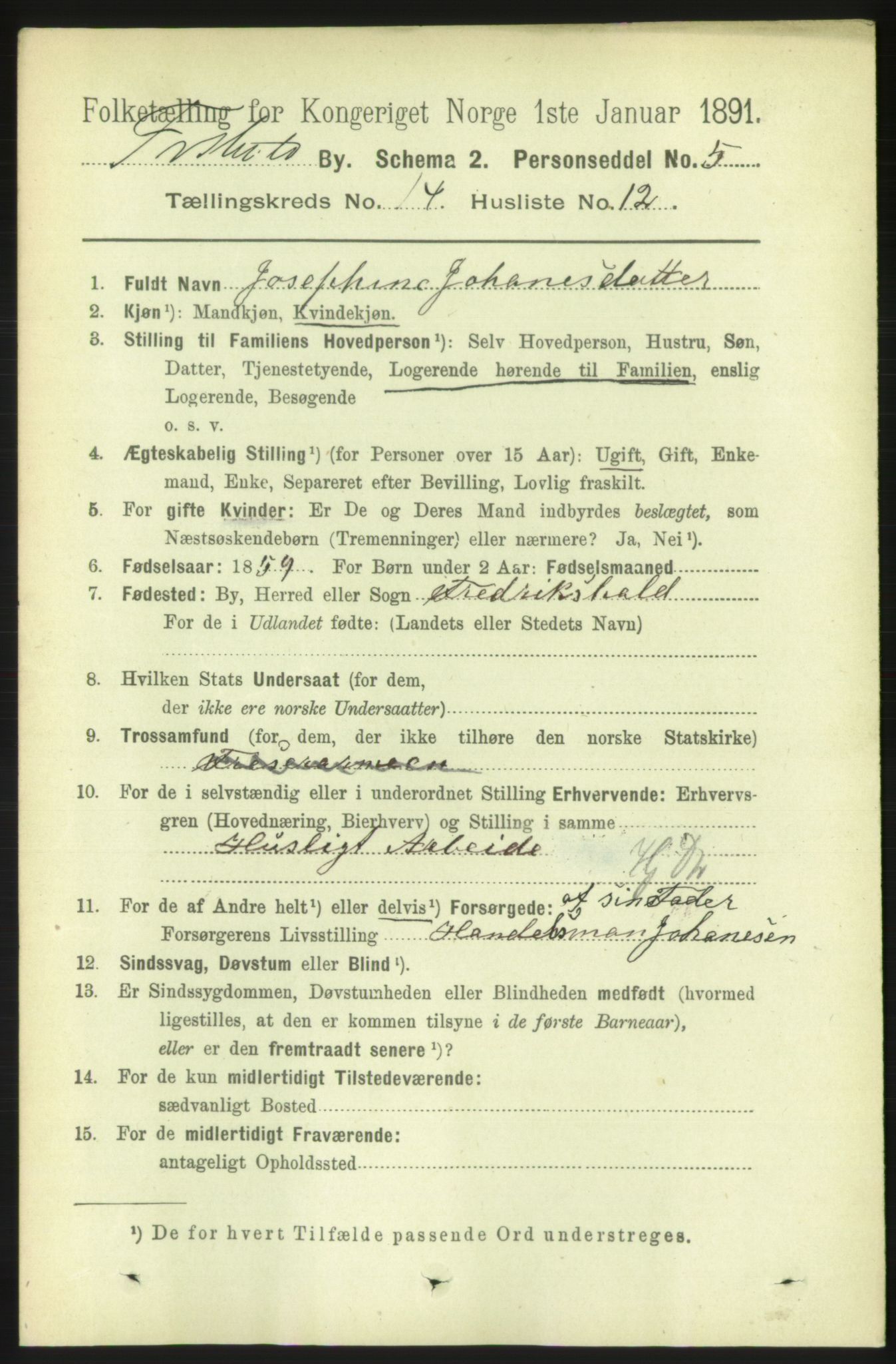 RA, 1891 census for 0101 Fredrikshald, 1891, p. 9195