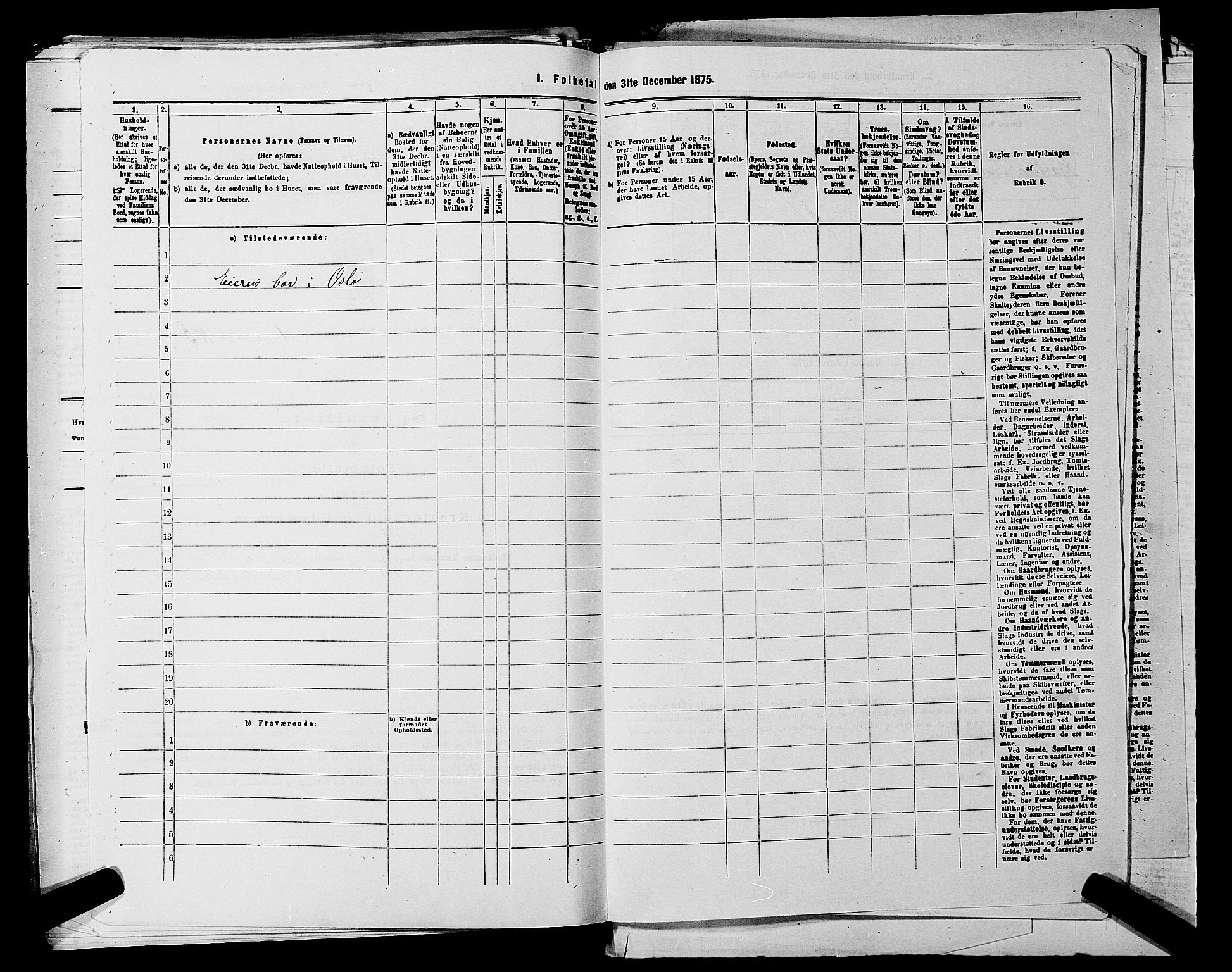 RA, 1875 census for 0218aP Vestre Aker, 1875, p. 493