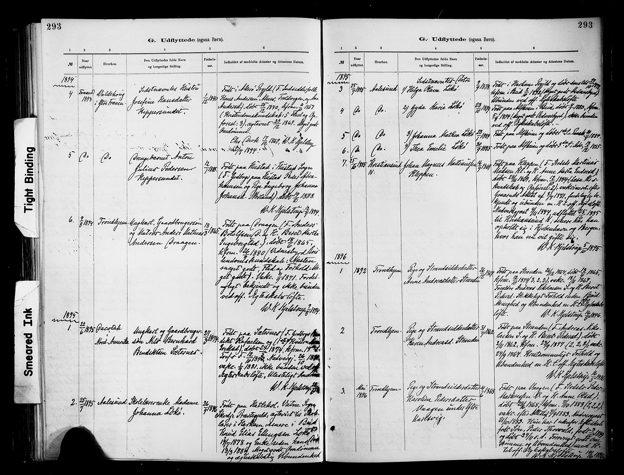 Ministerialprotokoller, klokkerbøker og fødselsregistre - Møre og Romsdal, SAT/A-1454/566/L0769: Parish register (official) no. 566A08, 1881-1903, p. 293