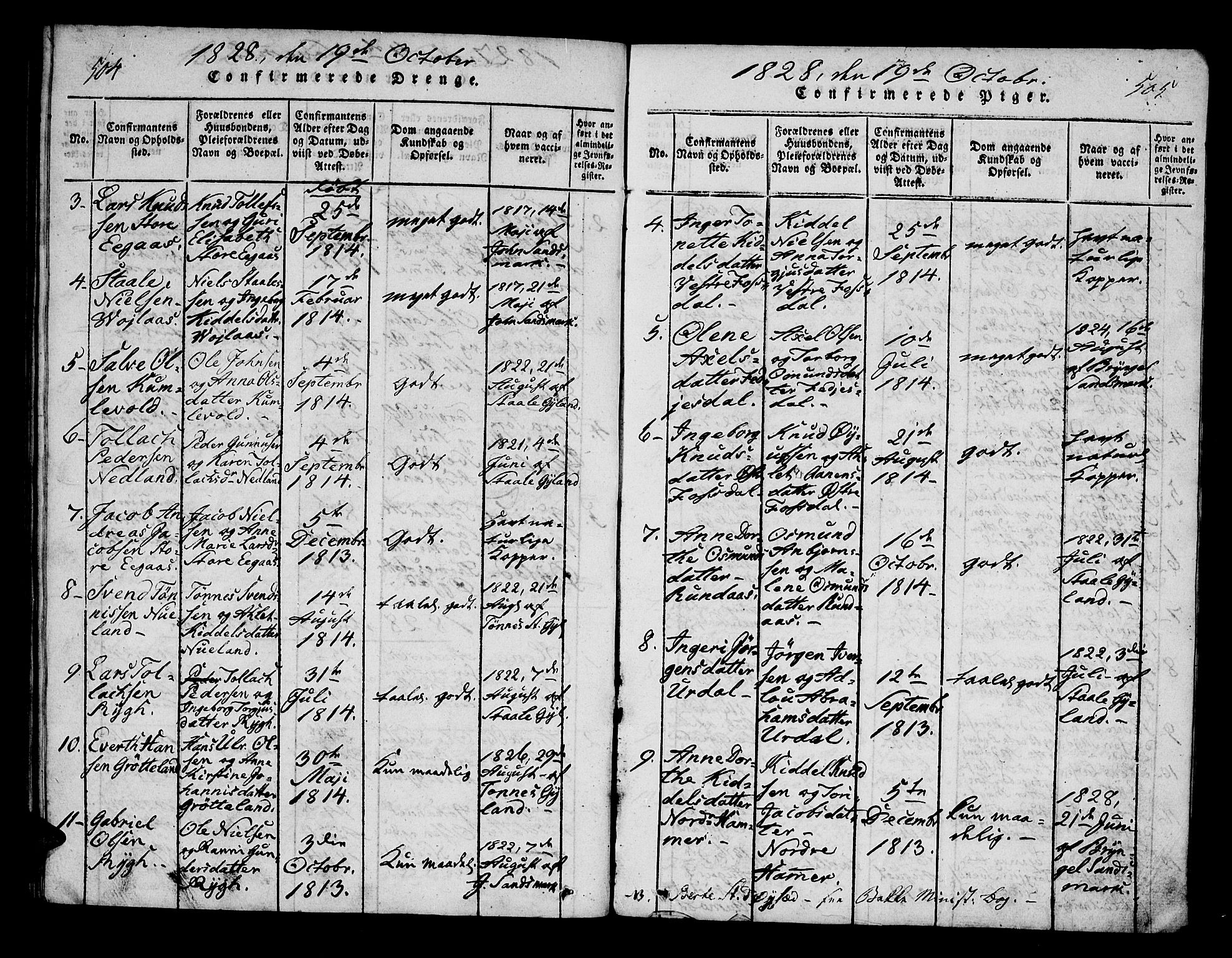 Bakke sokneprestkontor, AV/SAK-1111-0002/F/Fa/Fab/L0001: Parish register (official) no. A 1, 1815-1835, p. 504-505