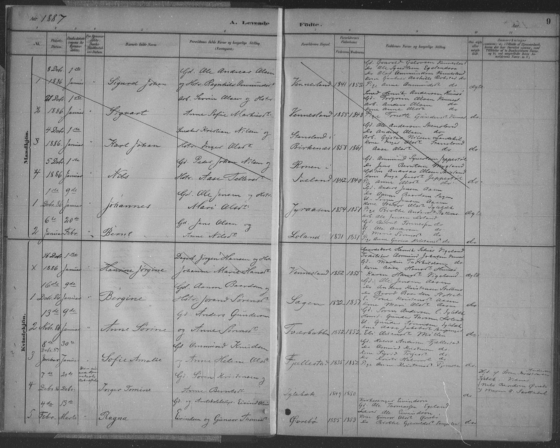 Vennesla sokneprestkontor, SAK/1111-0045/Fa/Fac/L0009: Parish register (official) no. A 9, 1884-1901, p. 9