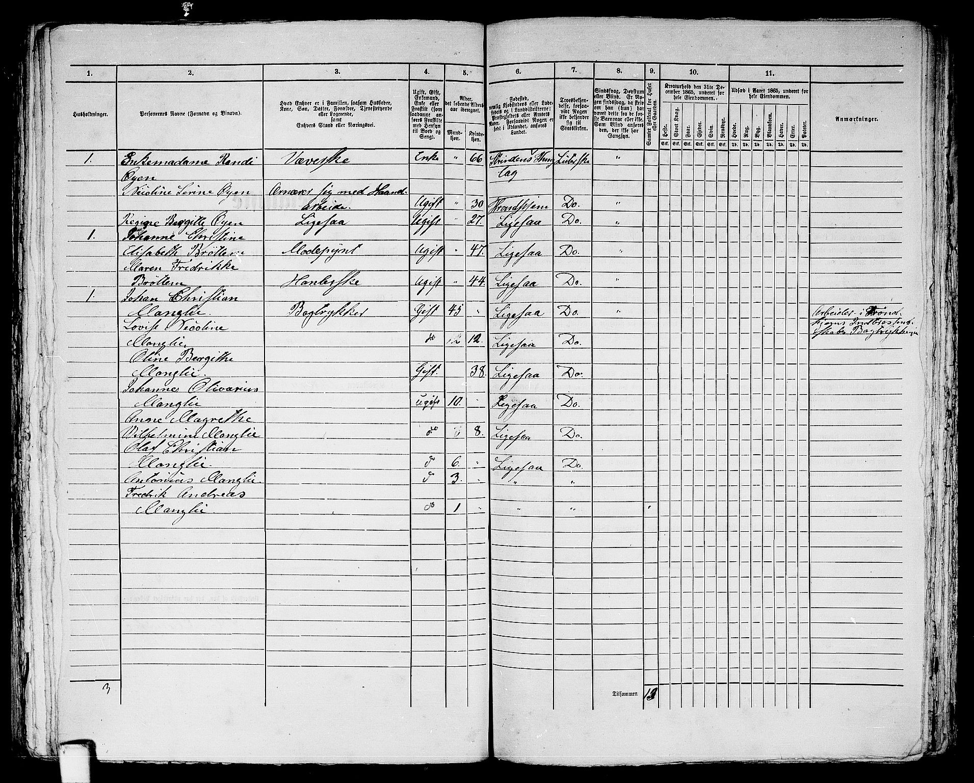 RA, 1865 census for Trondheim, 1865, p. 1454