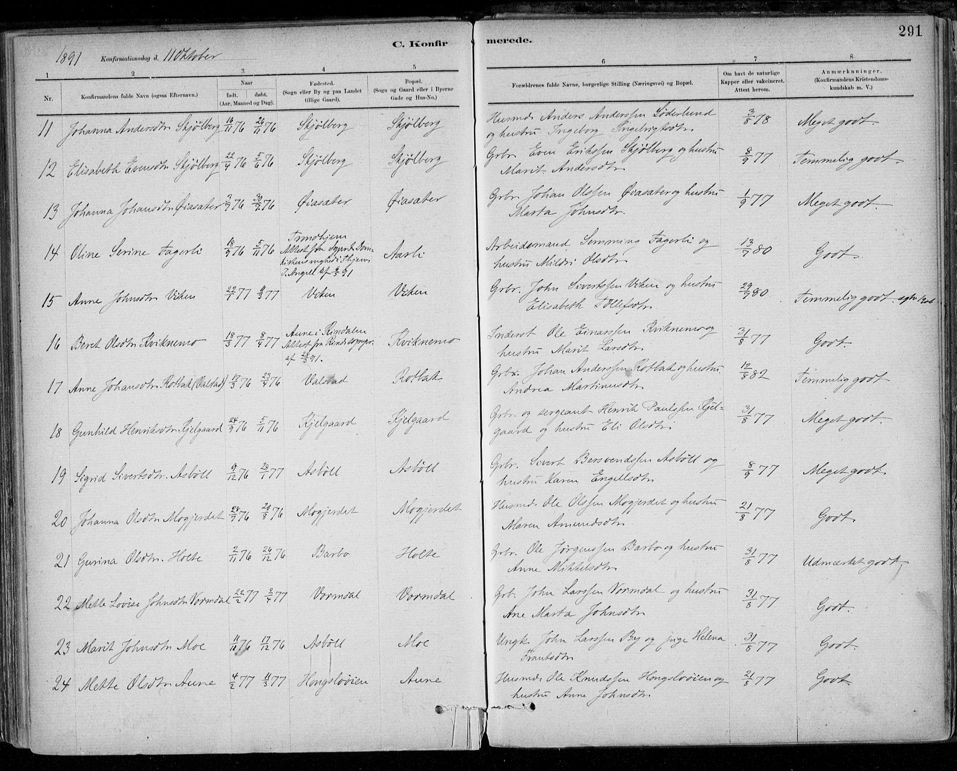 Ministerialprotokoller, klokkerbøker og fødselsregistre - Sør-Trøndelag, AV/SAT-A-1456/668/L0809: Parish register (official) no. 668A09, 1881-1895, p. 291