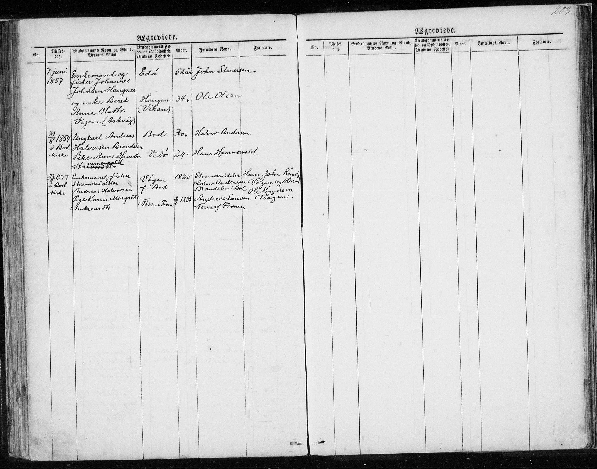 Ministerialprotokoller, klokkerbøker og fødselsregistre - Møre og Romsdal, AV/SAT-A-1454/567/L0782: Parish register (copy) no. 567C02, 1867-1886, p. 203