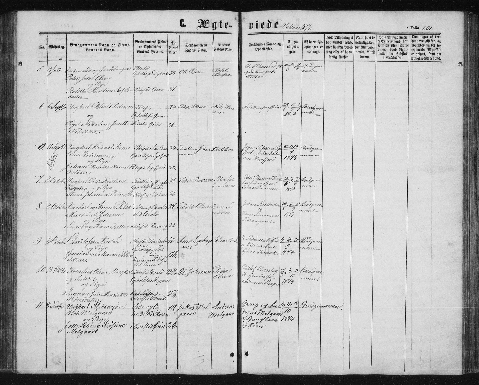 Ministerialprotokoller, klokkerbøker og fødselsregistre - Nordland, AV/SAT-A-1459/810/L0158: Parish register (copy) no. 810C02 /1, 1863-1883, p. 201