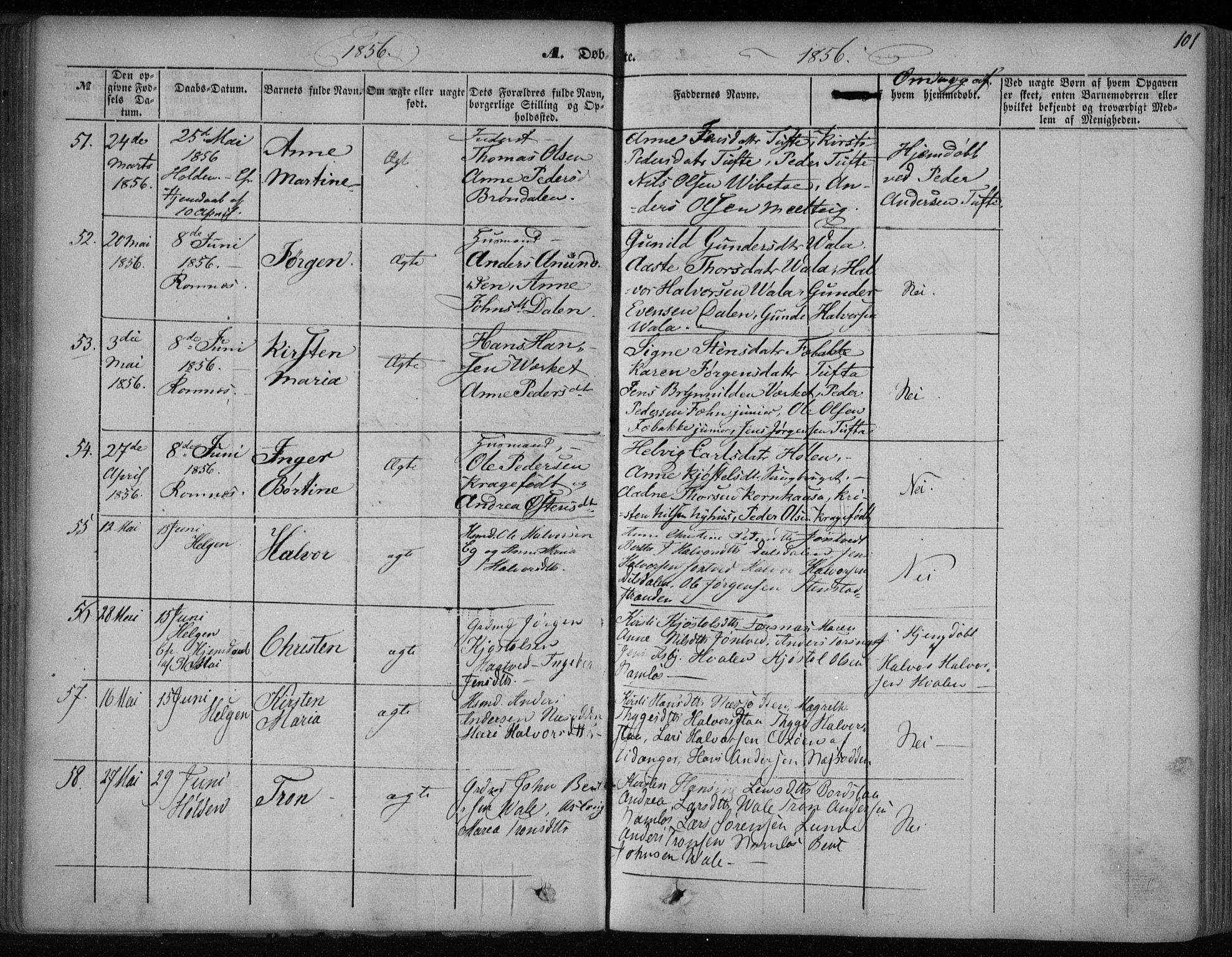 Holla kirkebøker, AV/SAKO-A-272/F/Fa/L0005: Parish register (official) no. 5, 1849-1860, p. 101