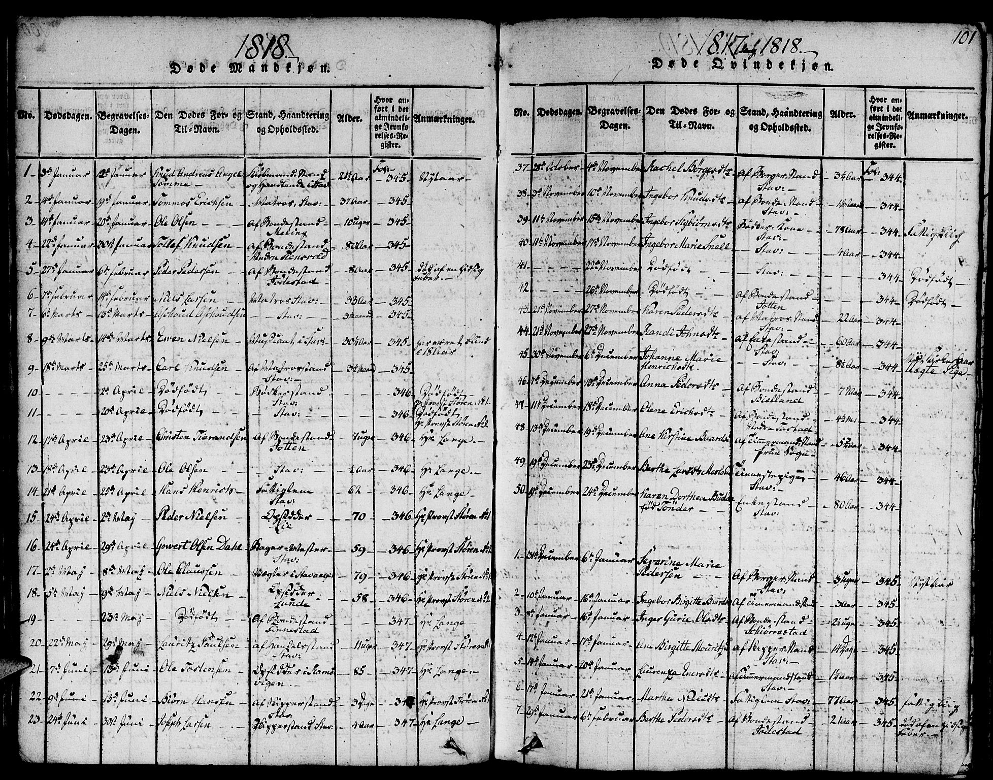 Domkirken sokneprestkontor, SAST/A-101812/001/30/30BA/L0008: Parish register (official) no. A 8, 1816-1821, p. 101