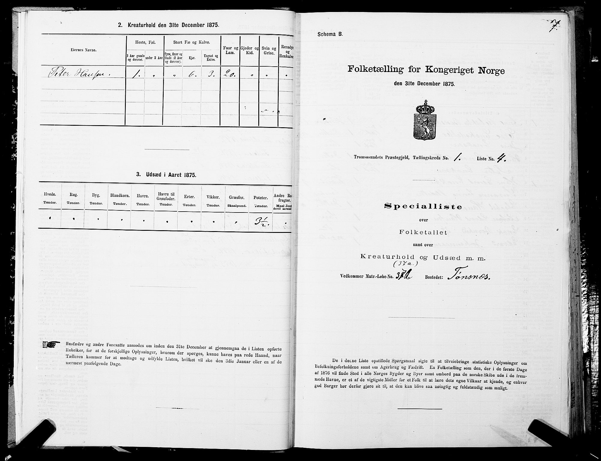 SATØ, 1875 census for 1934P Tromsøysund, 1875, p. 1007