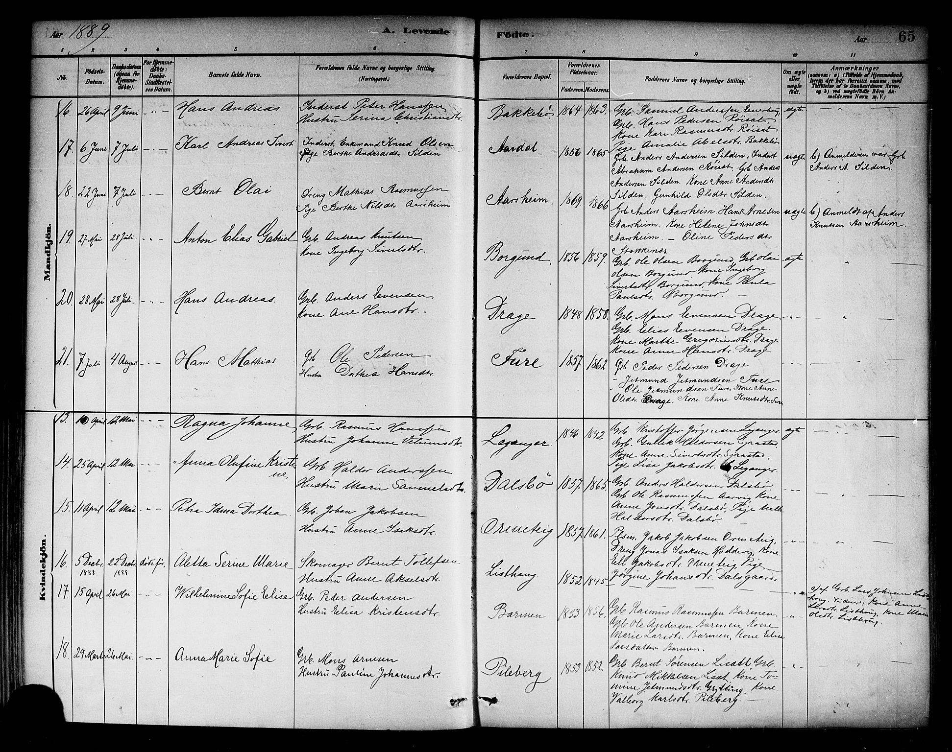 Selje sokneprestembete, AV/SAB-A-99938/H/Ha/Haa/Haab: Parish register (official) no. B 1, 1881-1890, p. 65