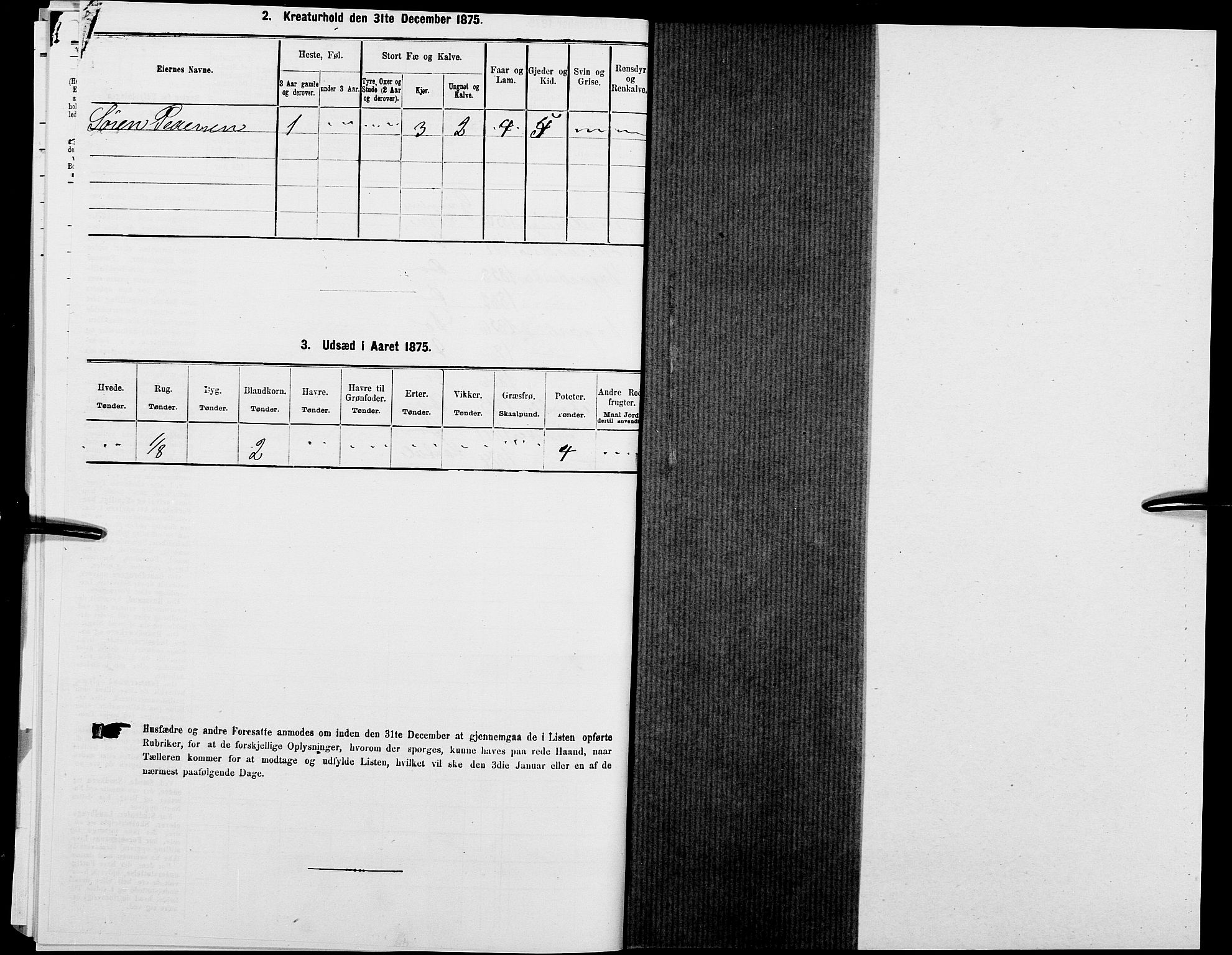 SAK, 1875 census for 1024P Bjelland, 1875, p. 506