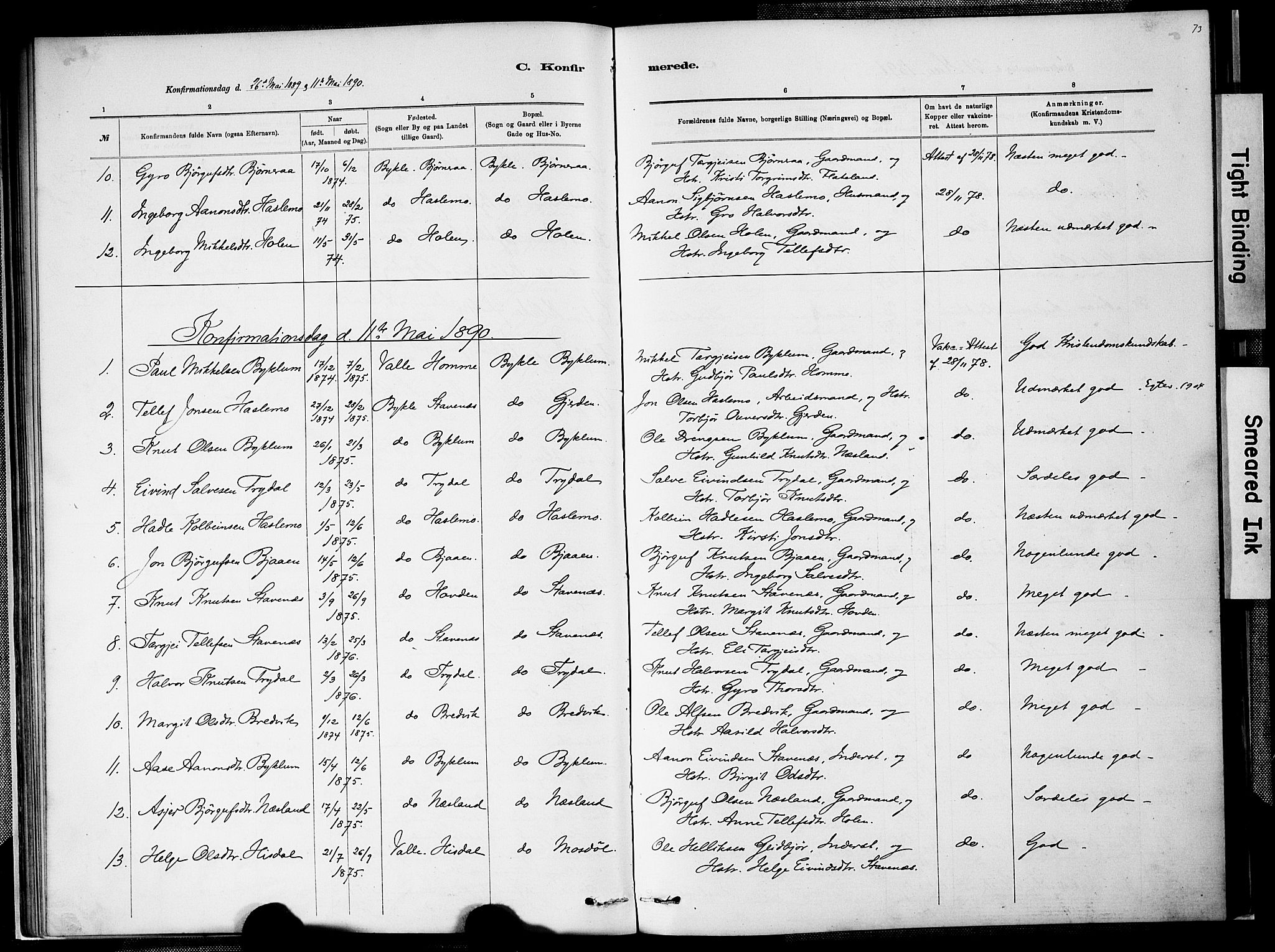 Valle sokneprestkontor, SAK/1111-0044/F/Fa/Faa/L0001: Parish register (official) no. A 1, 1882-1907, p. 73