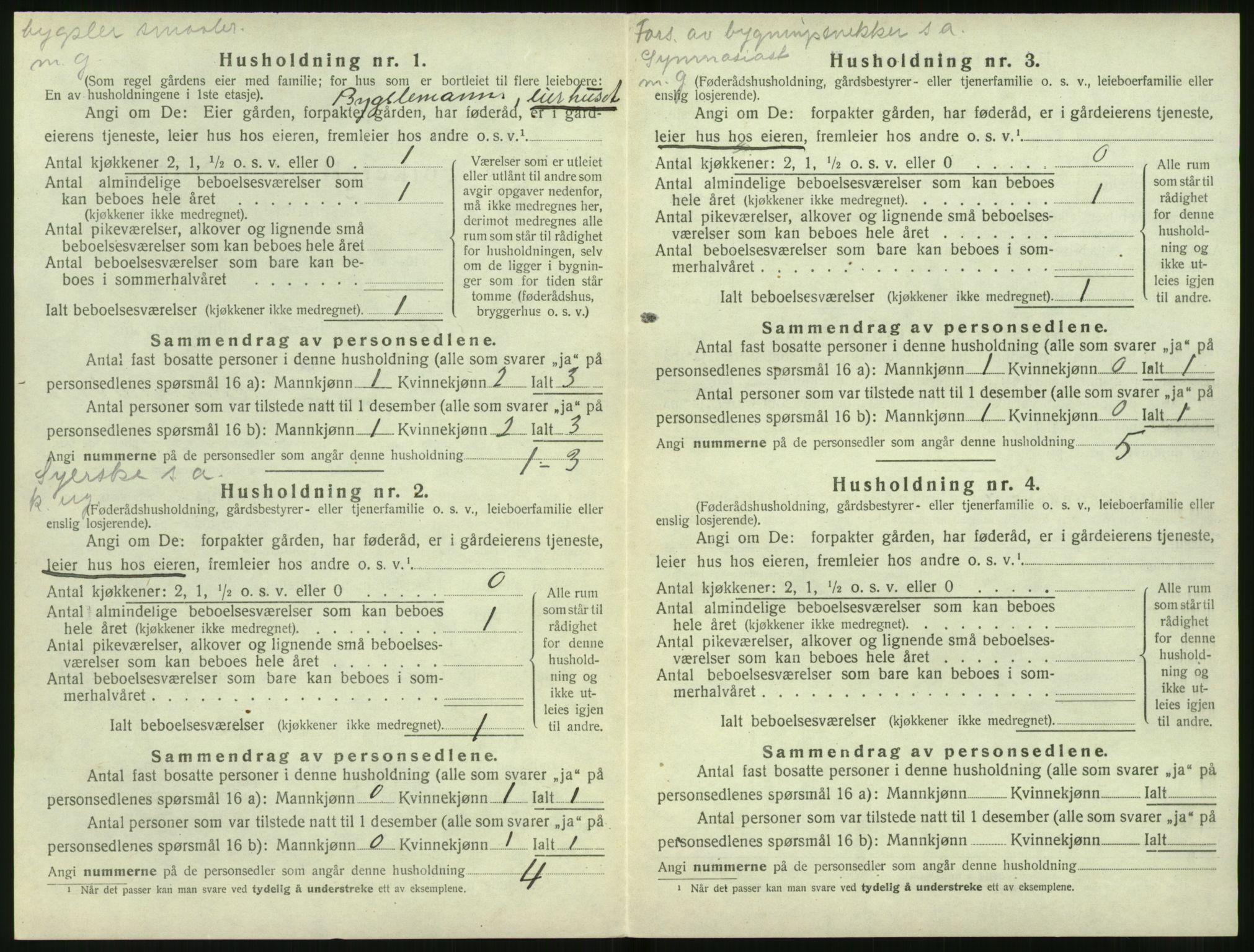 SAT, 1920 census for Volda, 1920, p. 533