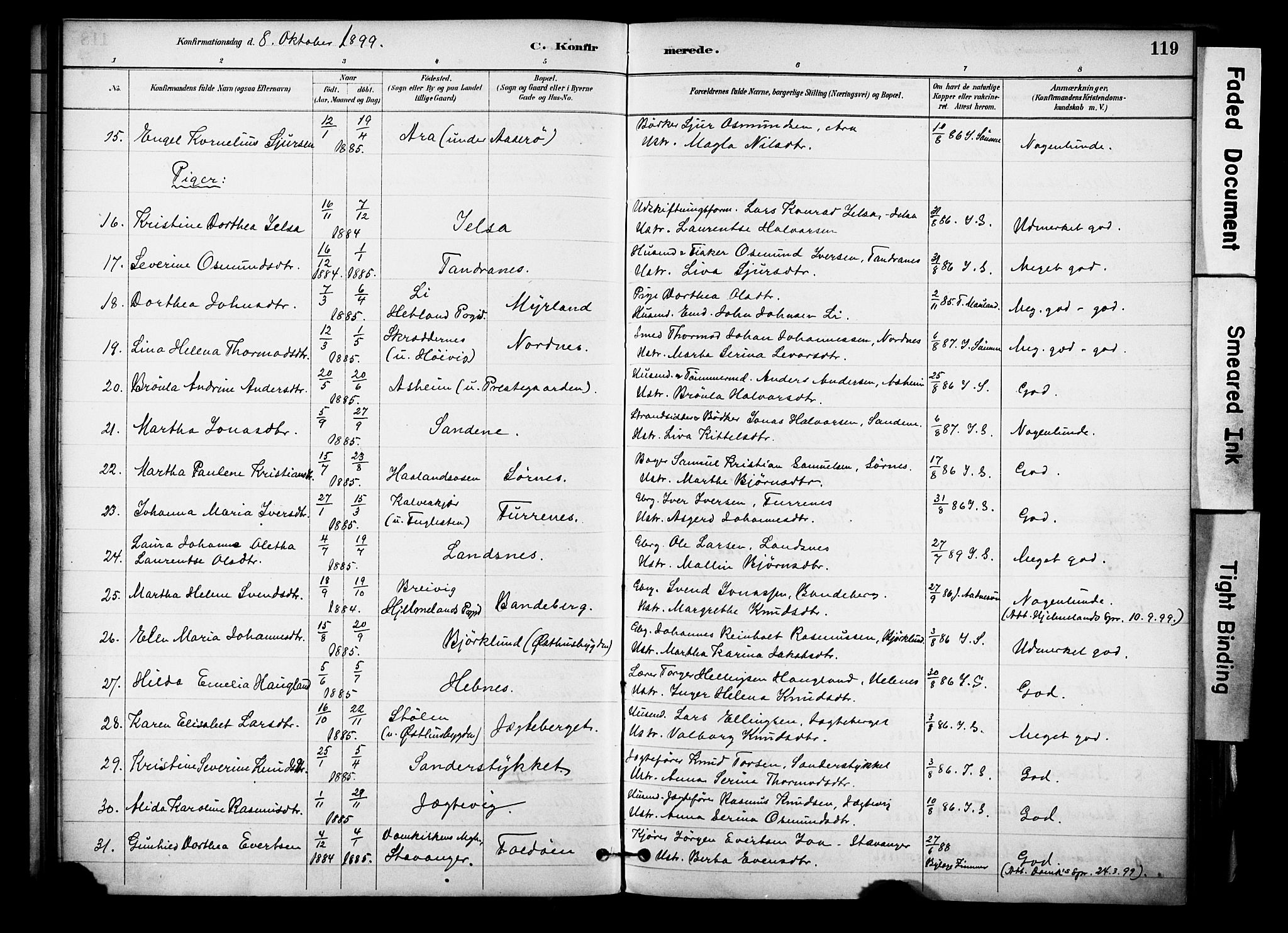 Jelsa sokneprestkontor, AV/SAST-A-101842/01/IV: Parish register (official) no. A 10, 1884-1906, p. 119