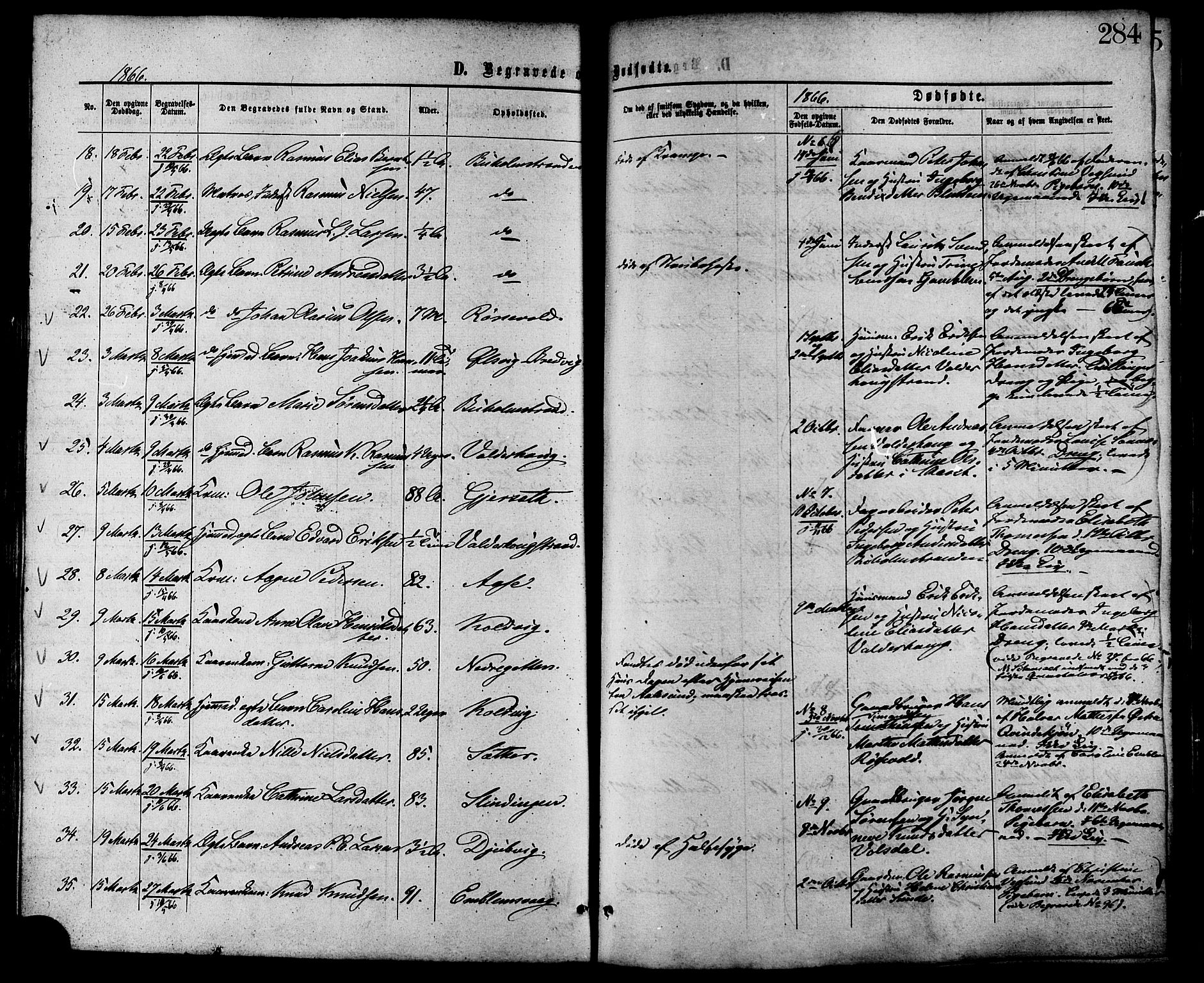 Ministerialprotokoller, klokkerbøker og fødselsregistre - Møre og Romsdal, AV/SAT-A-1454/528/L0399: Parish register (official) no. 528A10, 1864-1879, p. 284