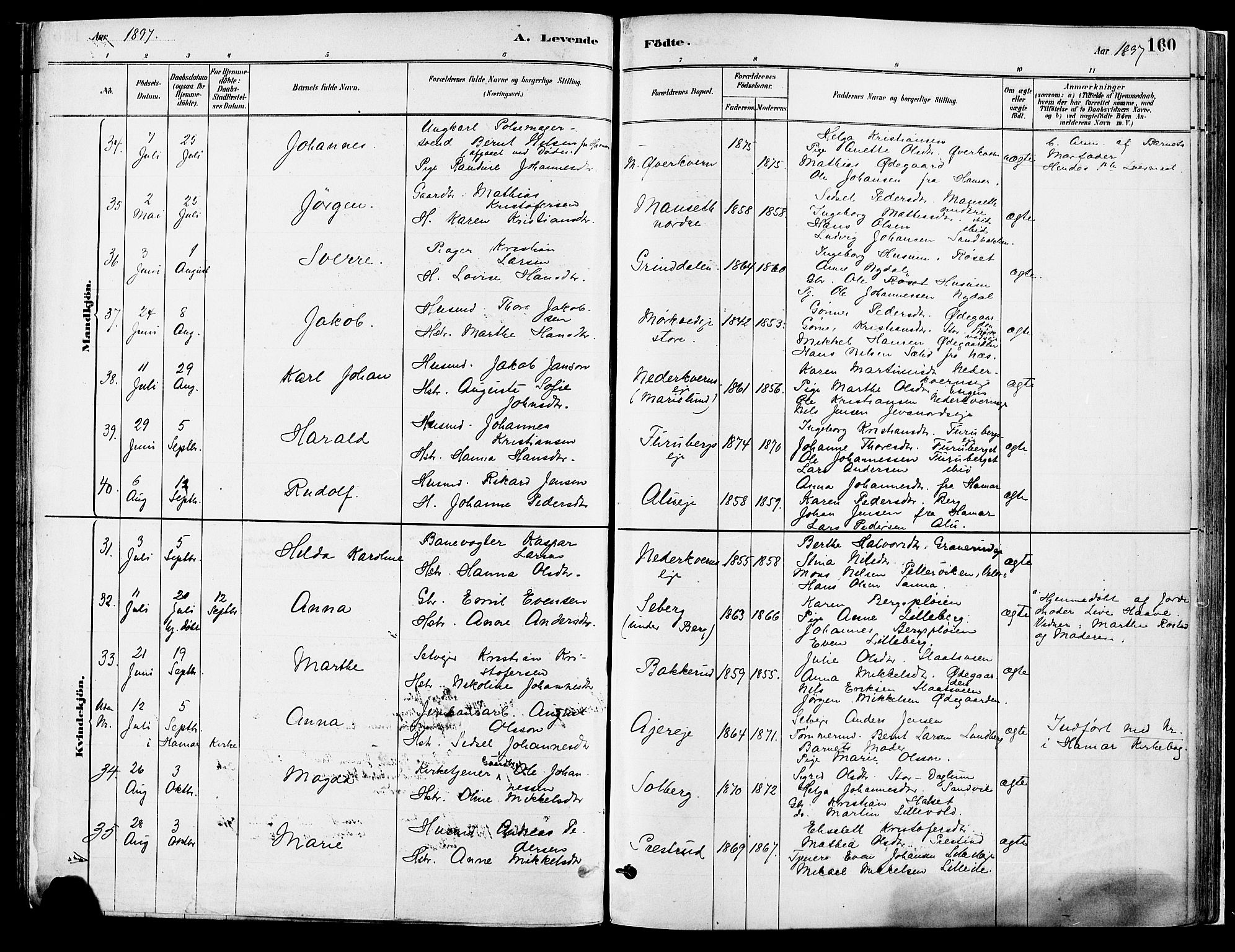 Vang prestekontor, Hedmark, AV/SAH-PREST-008/H/Ha/Haa/L0018A: Parish register (official) no. 18A, 1880-1906, p. 160