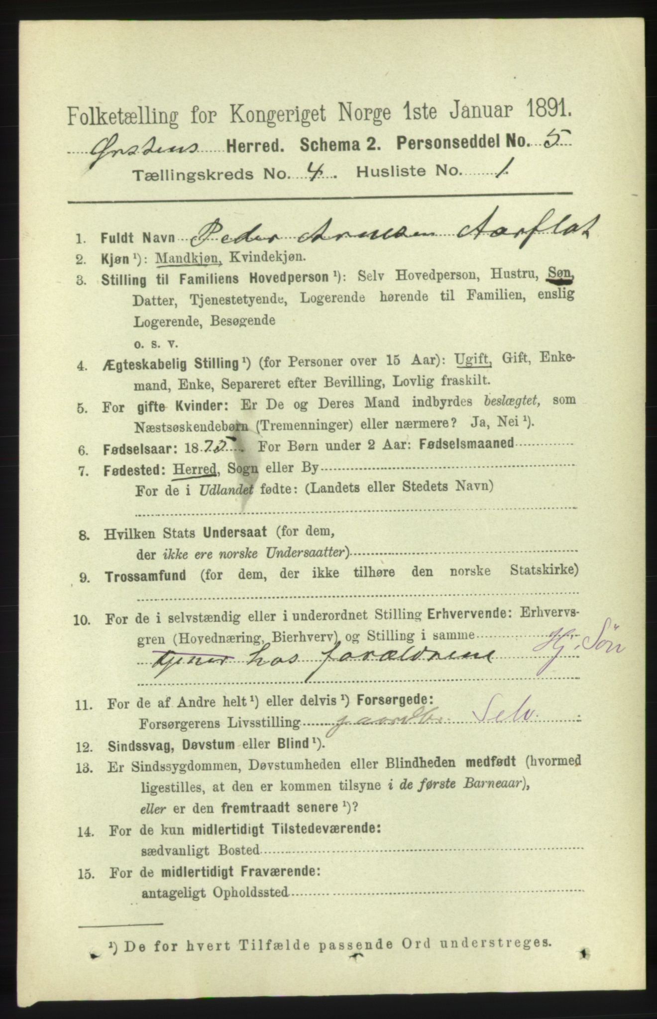 RA, 1891 census for 1520 Ørsta, 1891, p. 1679