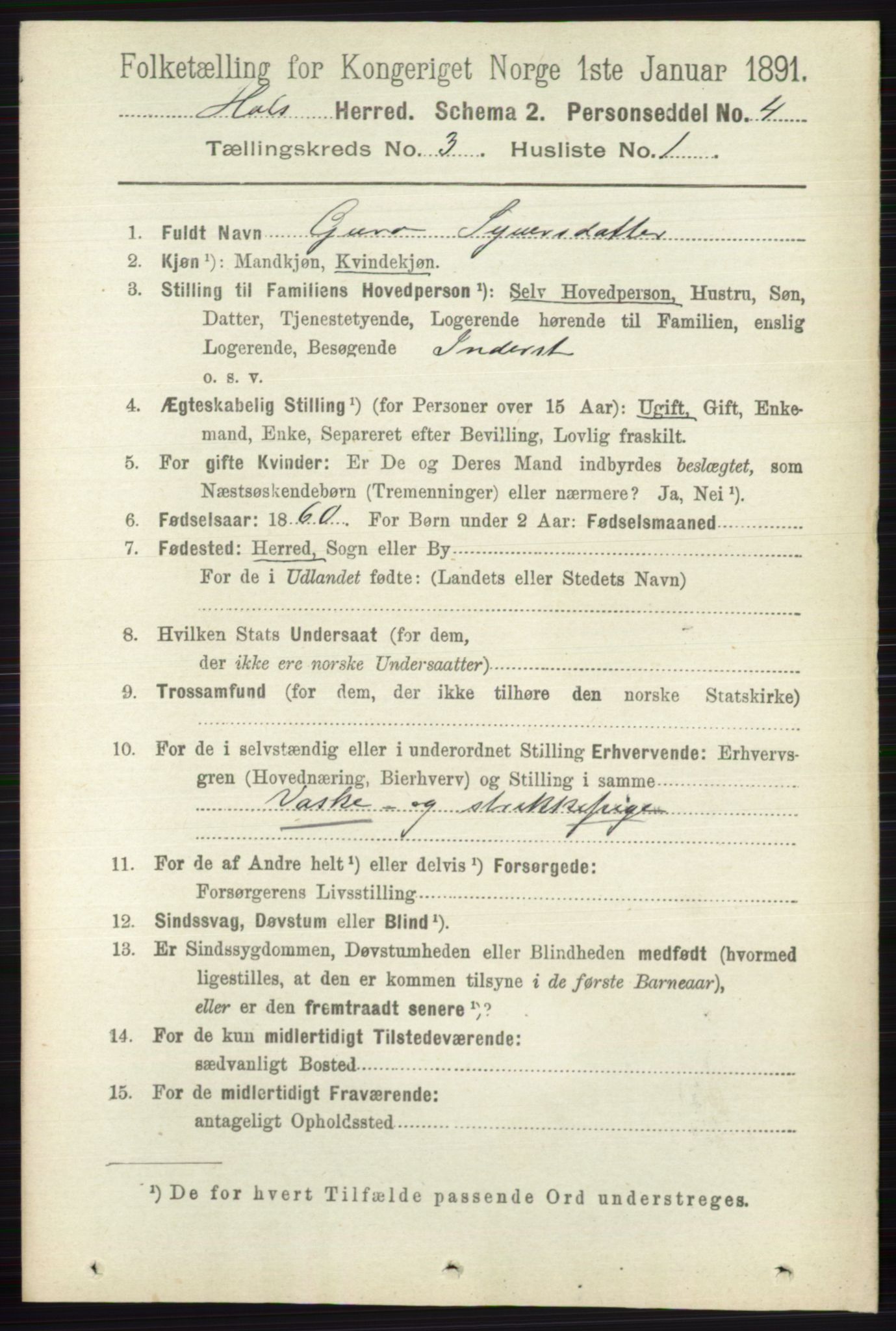 RA, 1891 census for 0620 Hol, 1891, p. 751