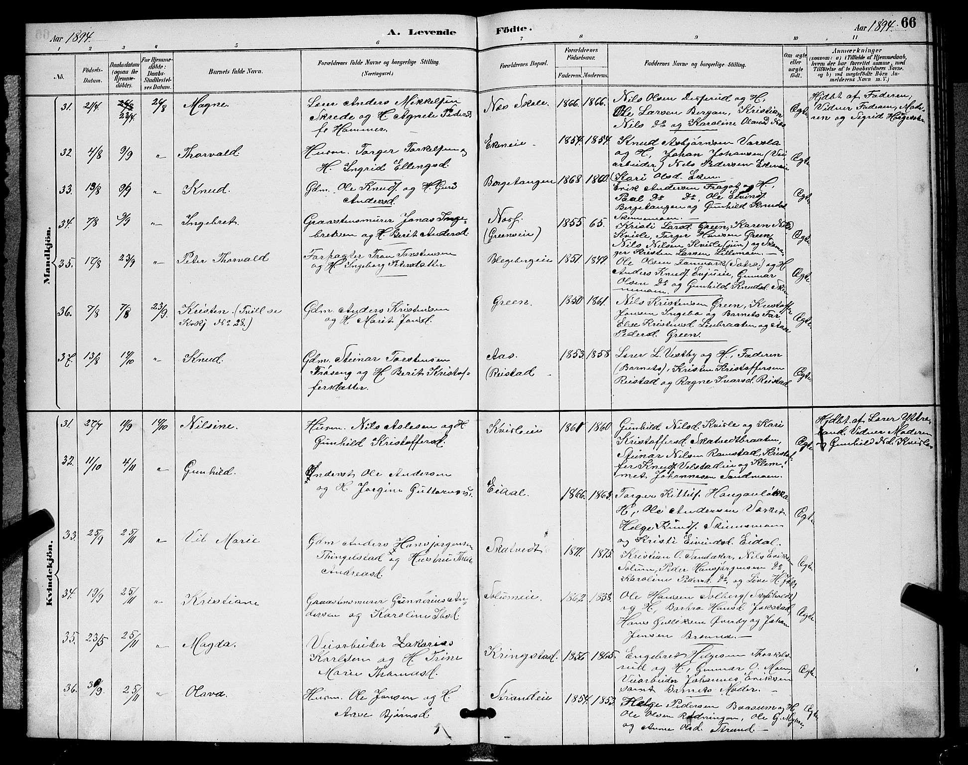 Sigdal kirkebøker, AV/SAKO-A-245/G/Ga/L0005: Parish register (copy) no. I 5, 1886-1900, p. 66